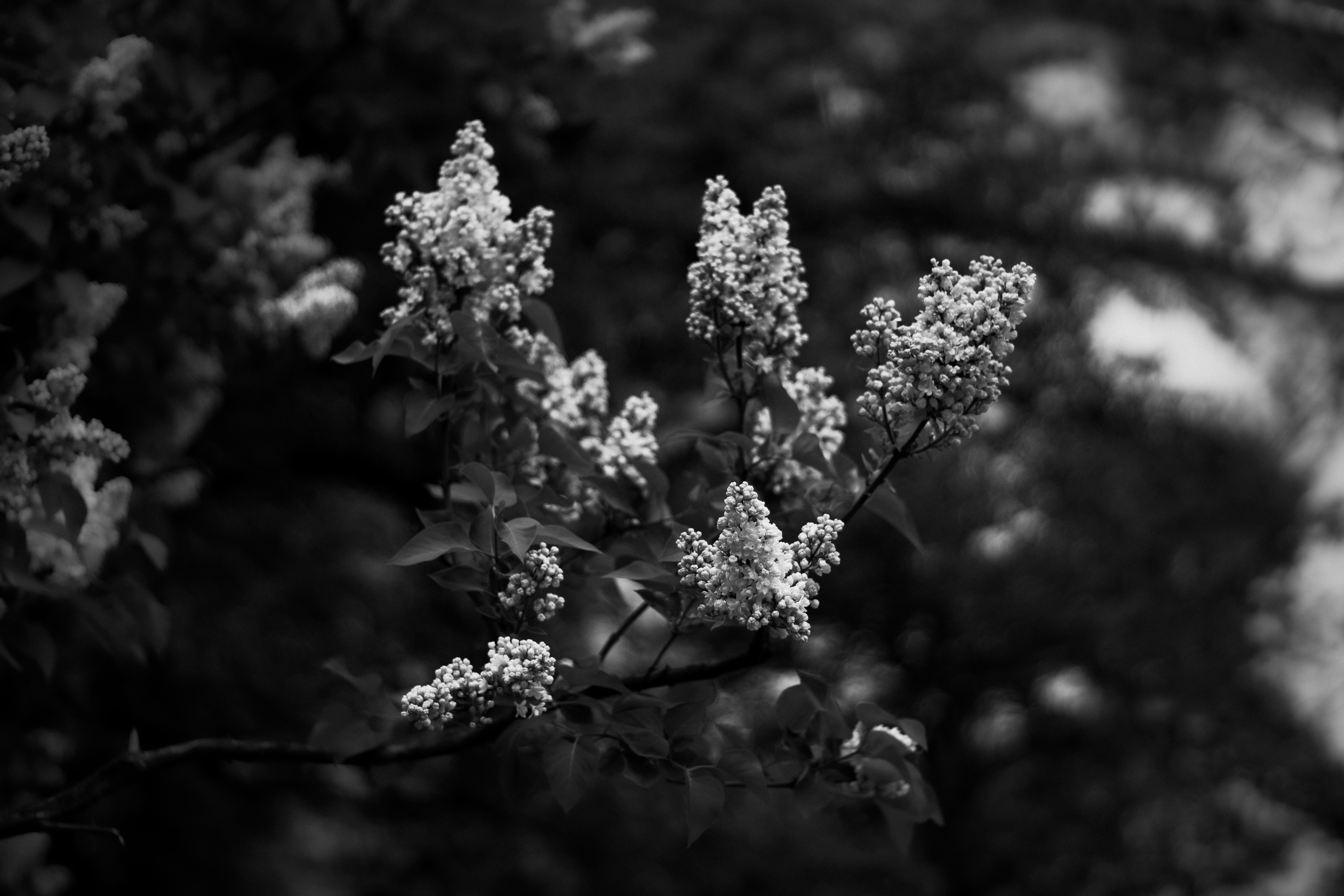 Photo by mineral_of_demon