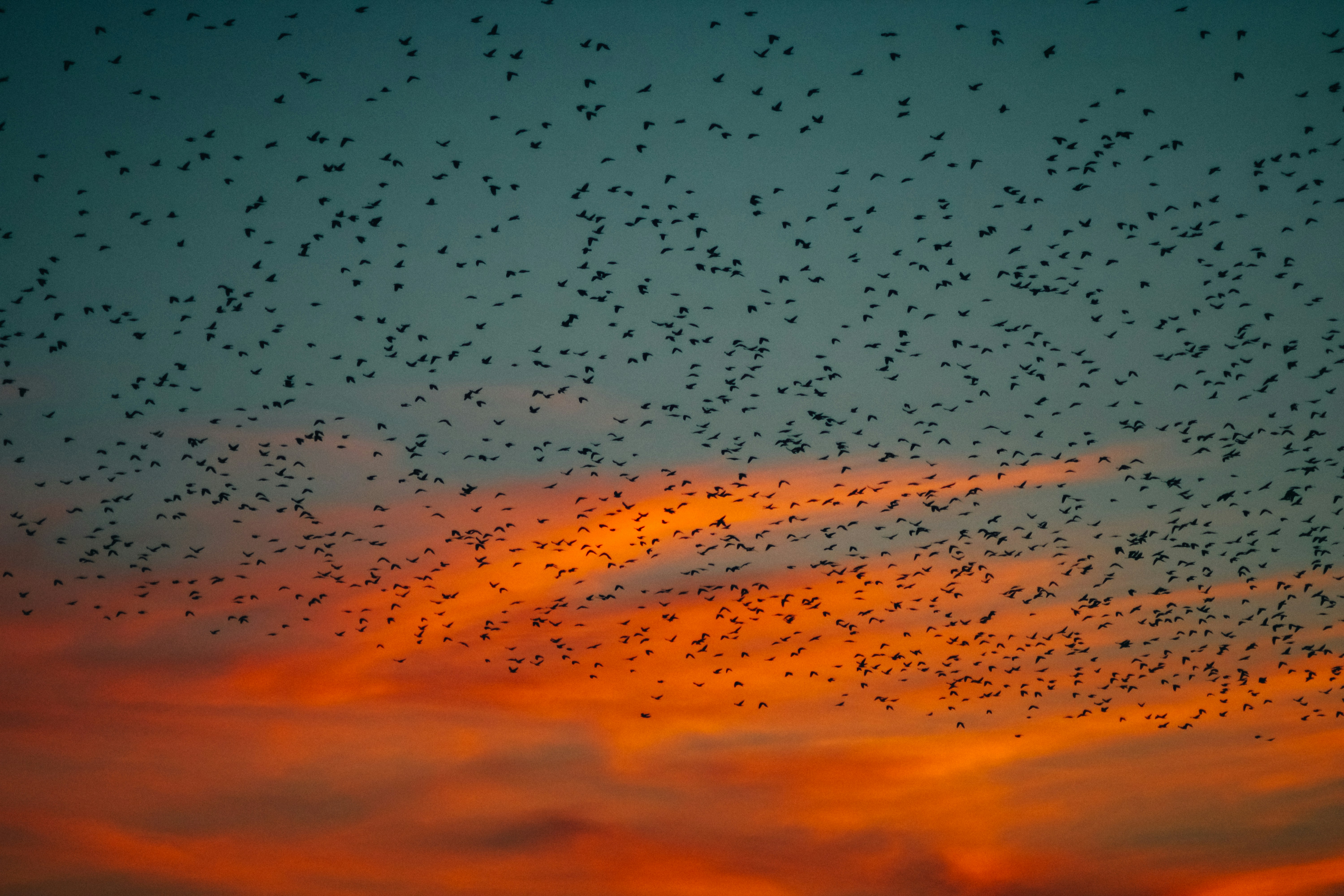 Photo by mineral_of_demon