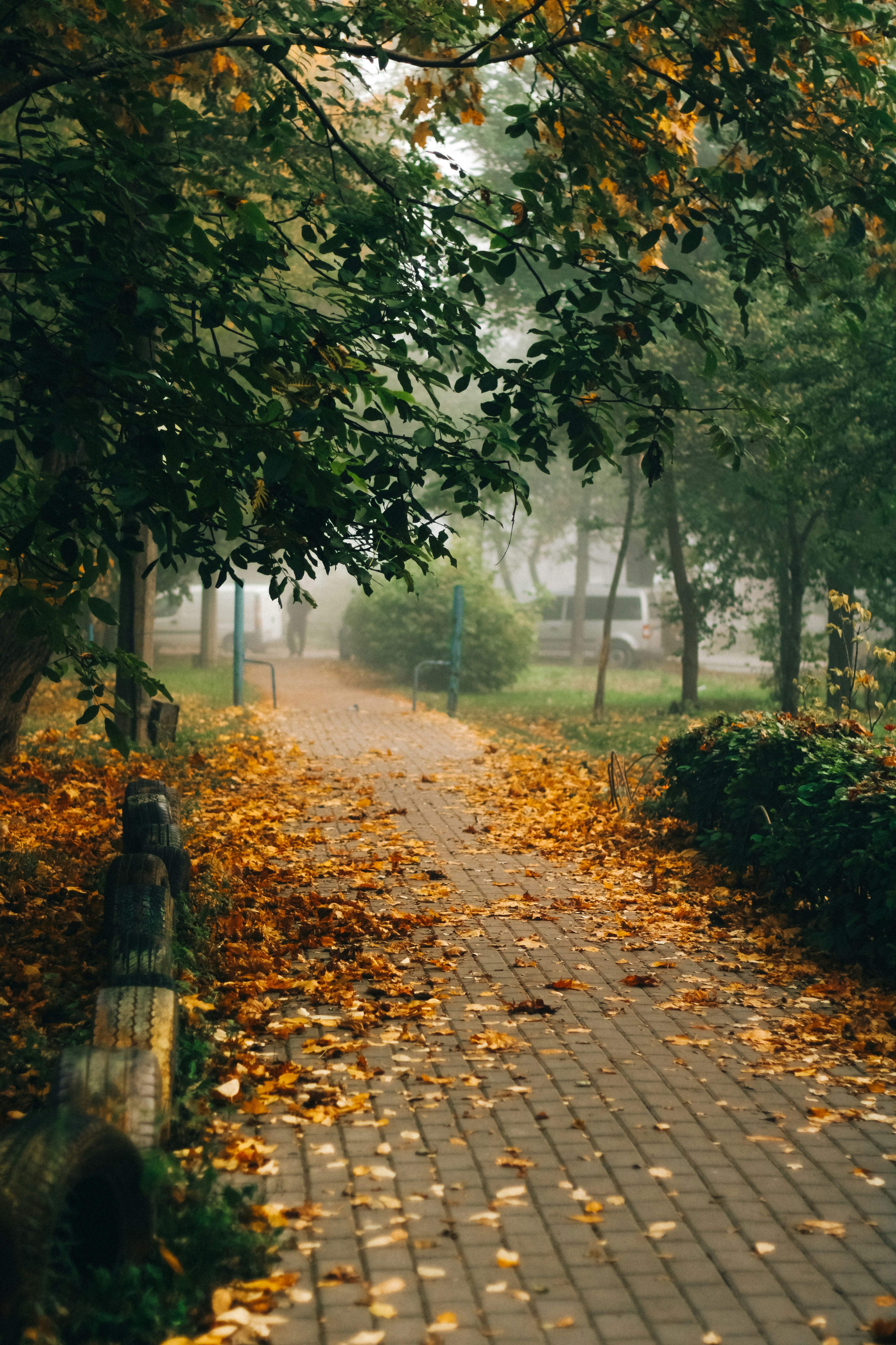 Photo by mineral_of_demon