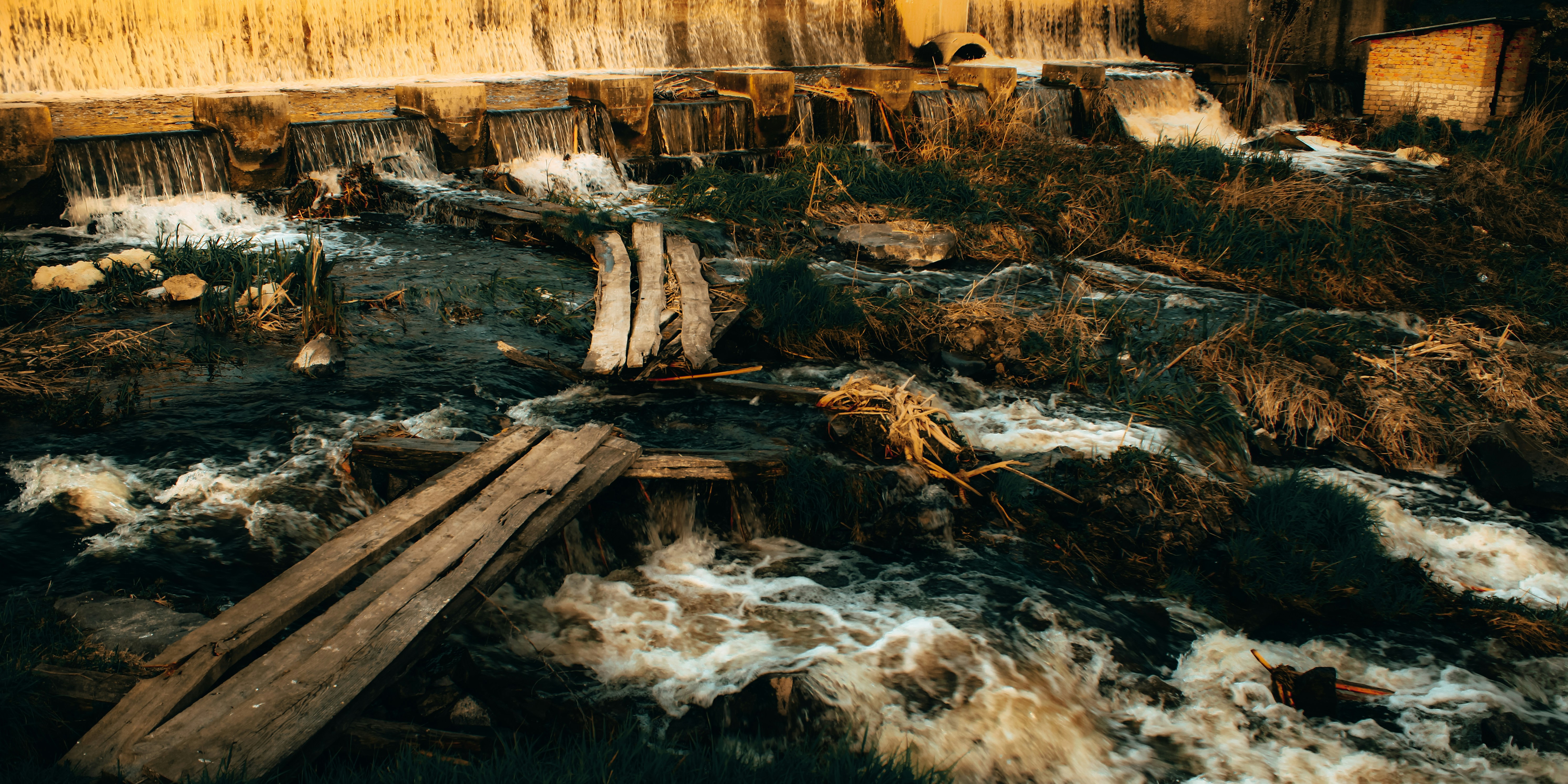 professional Water Damage Extraction & Cleanup