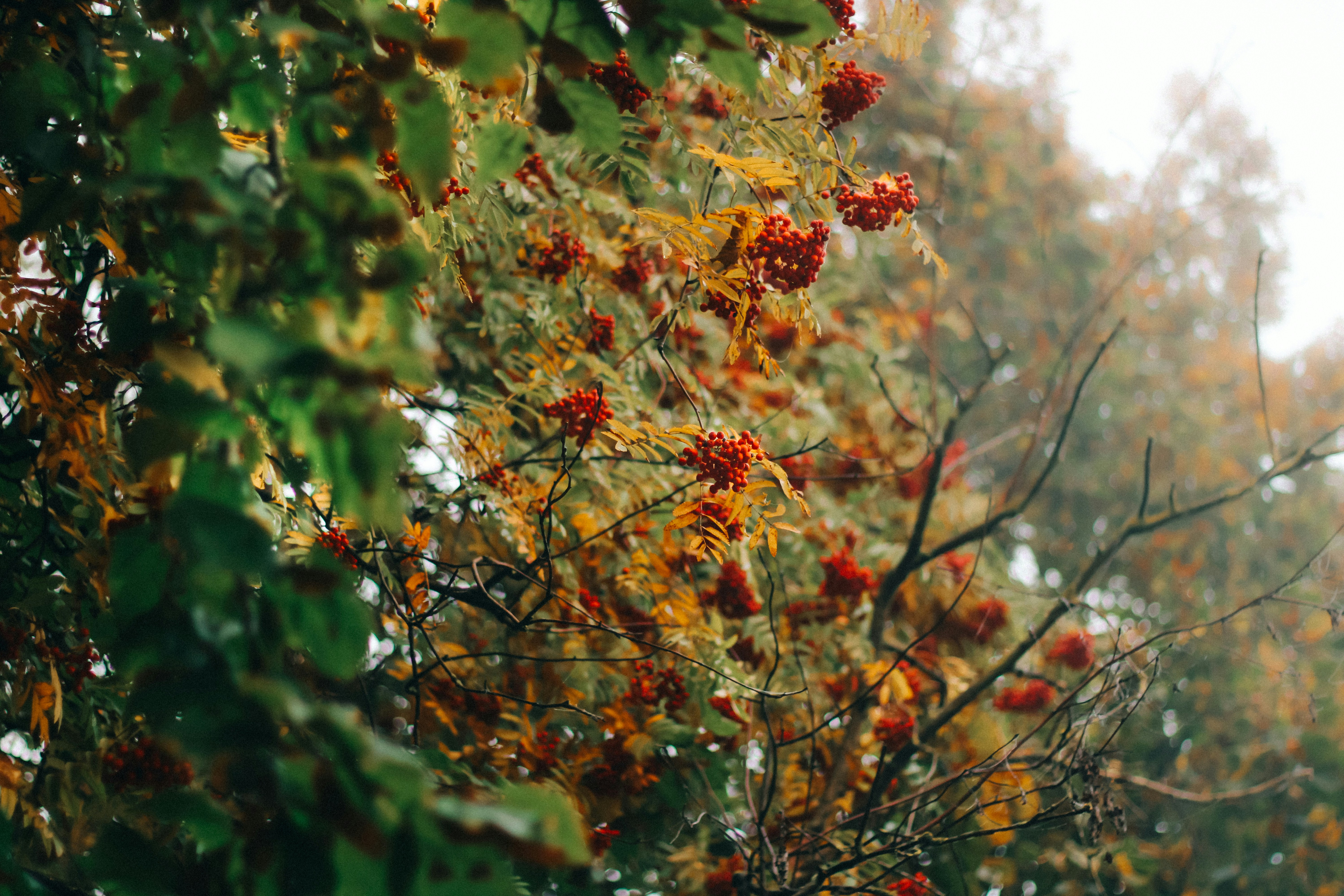 Photo by mineral_of_demon