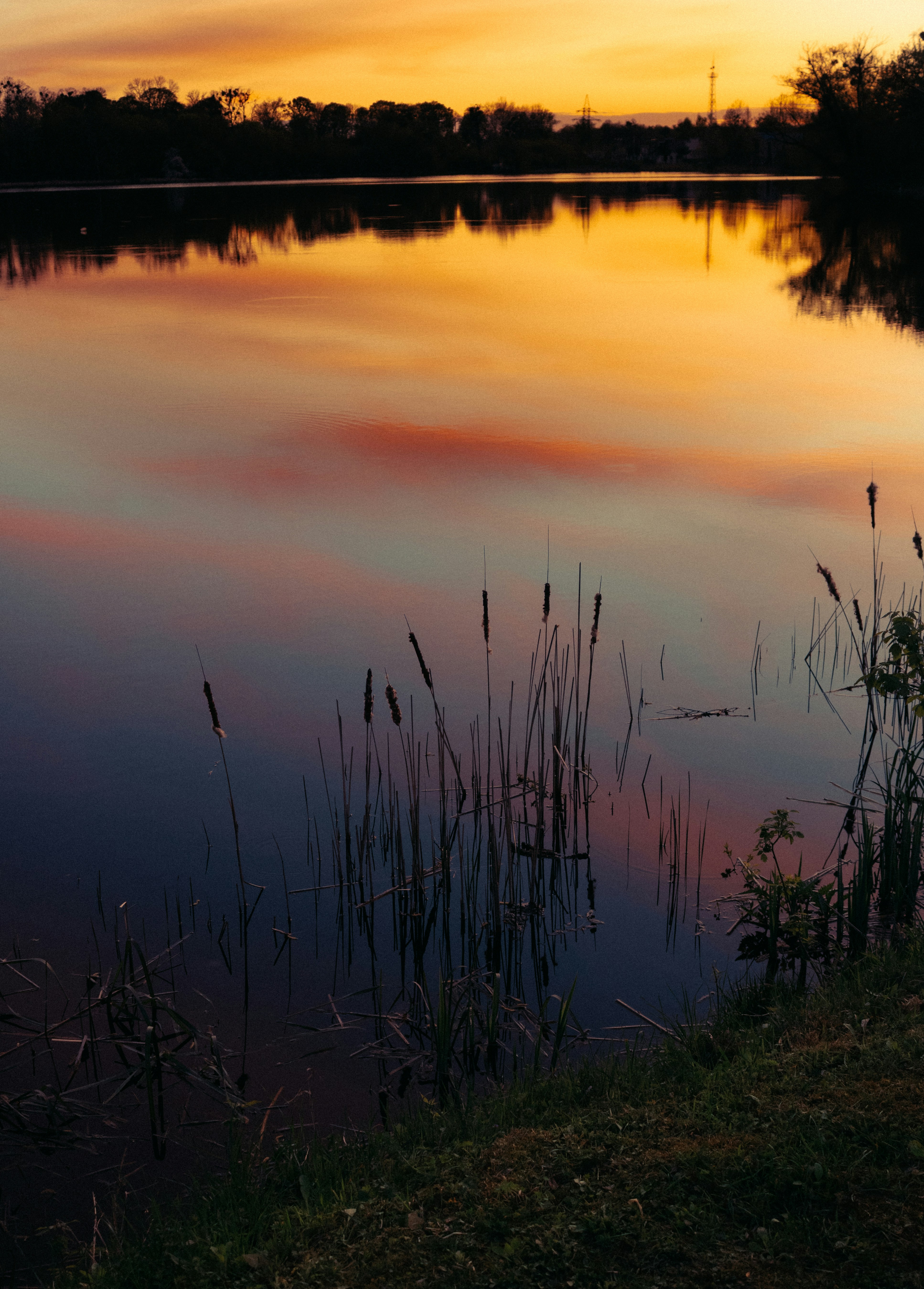 Photo by mineral_of_demon