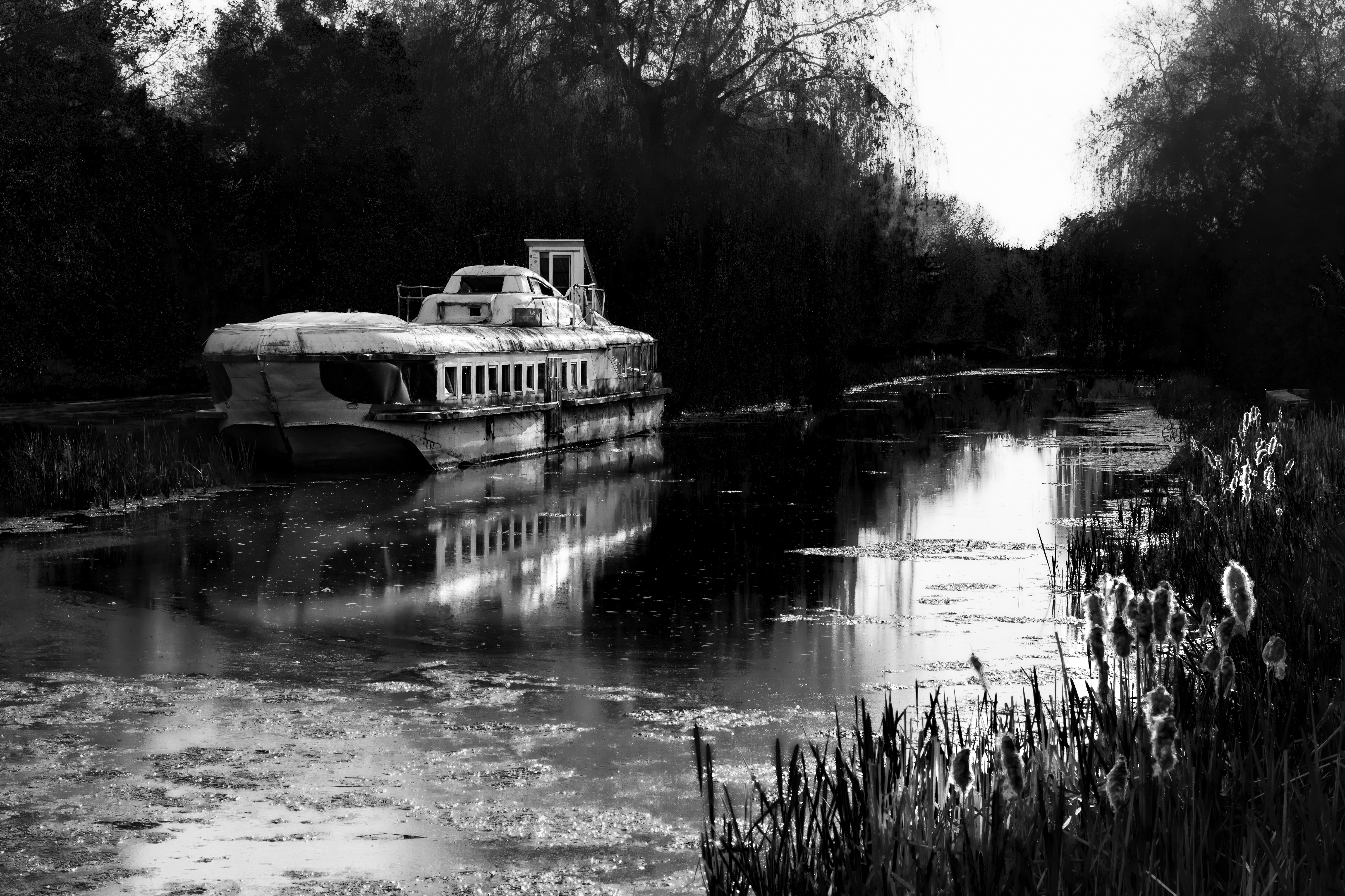 Photo by mineral_of_demon