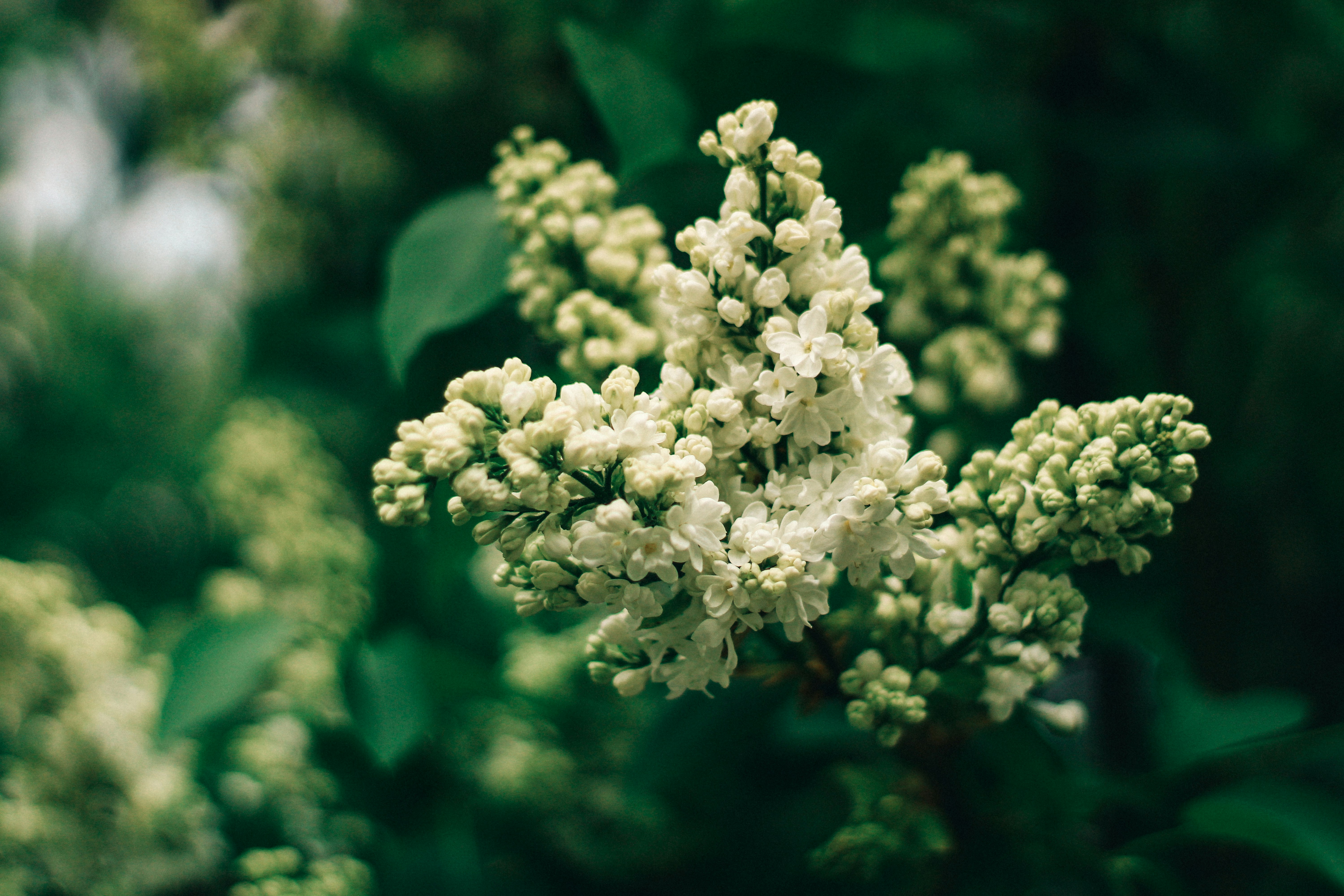 Photo by mineral_of_demon