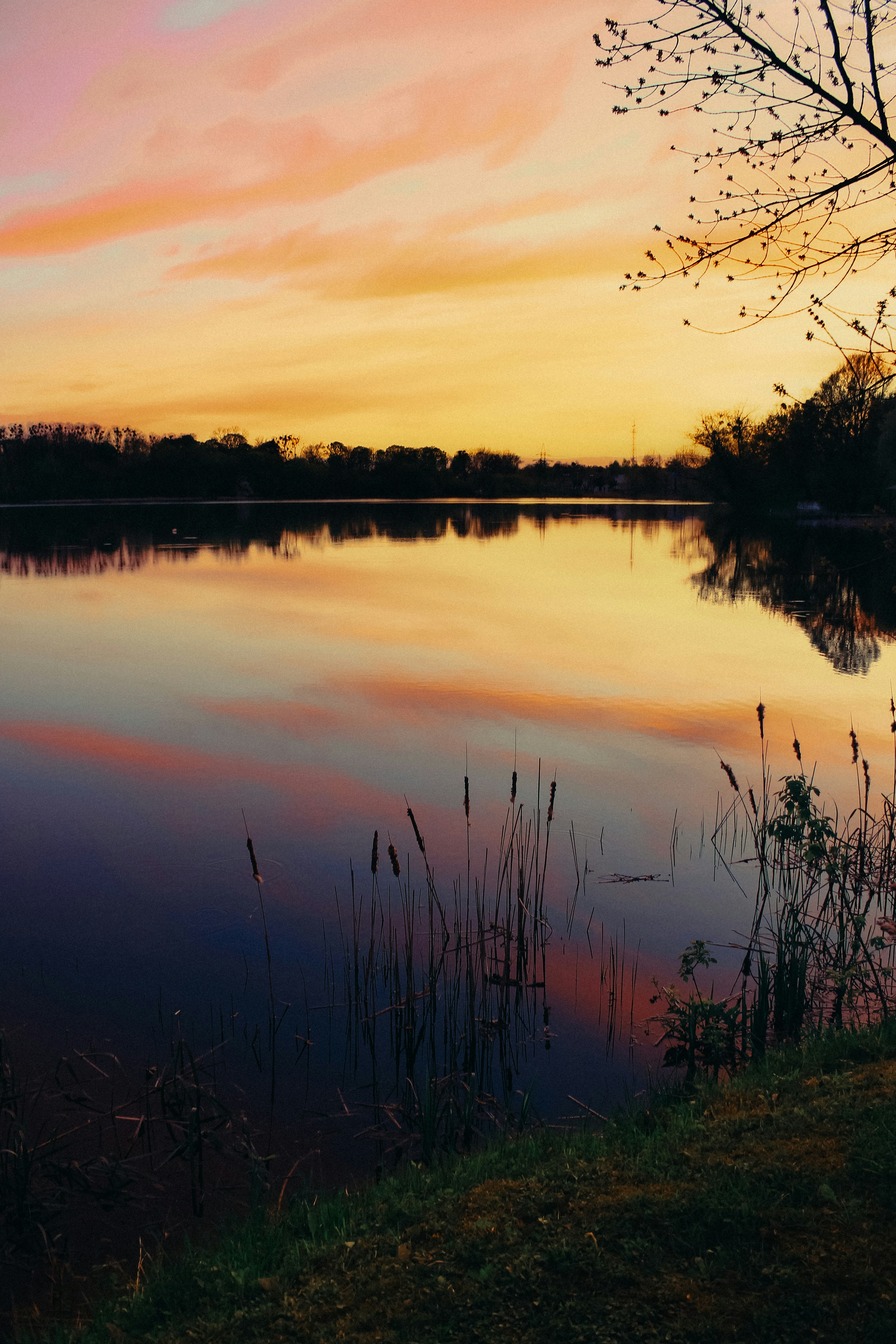 Photo by mineral_of_demon