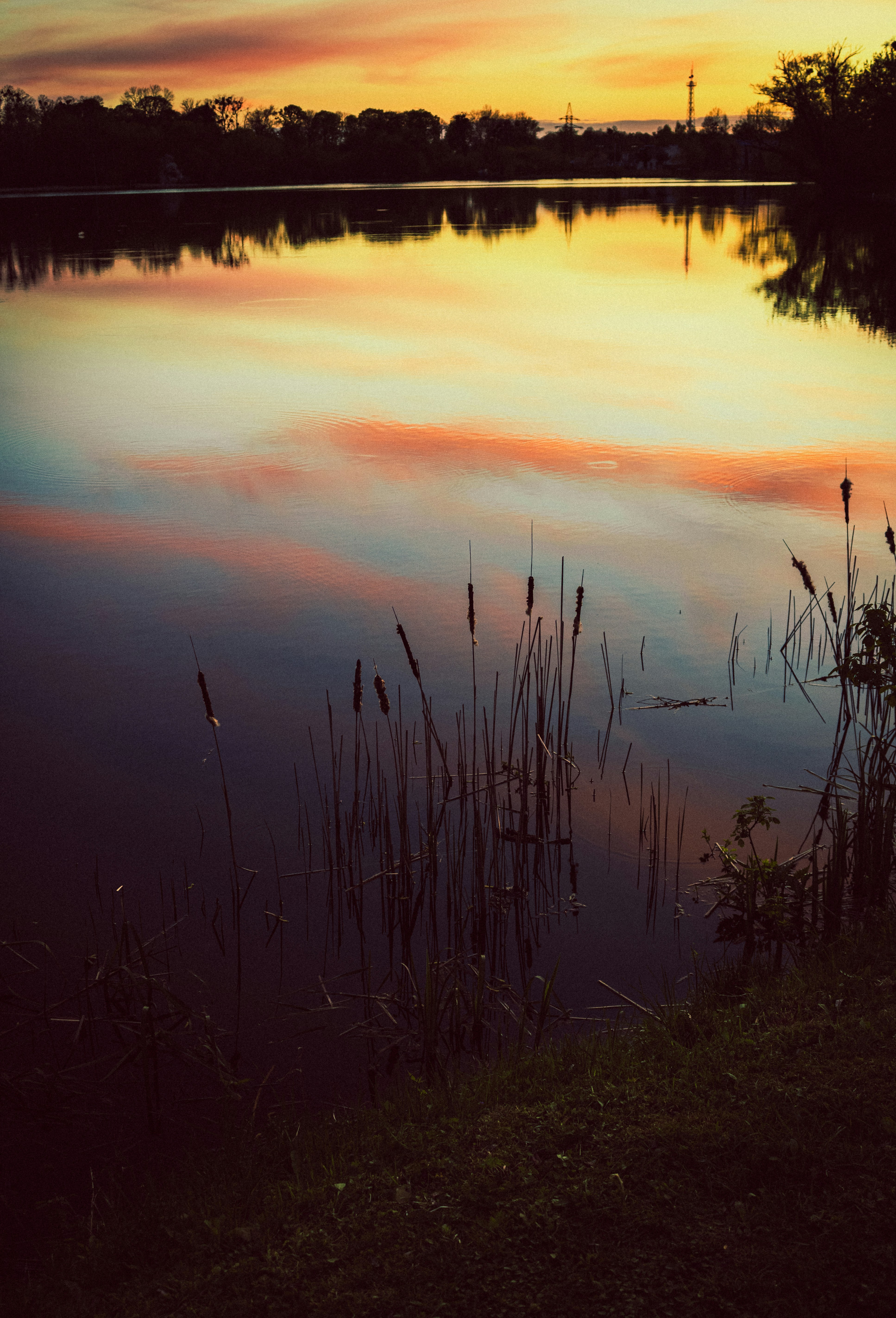 Photo by mineral_of_demon