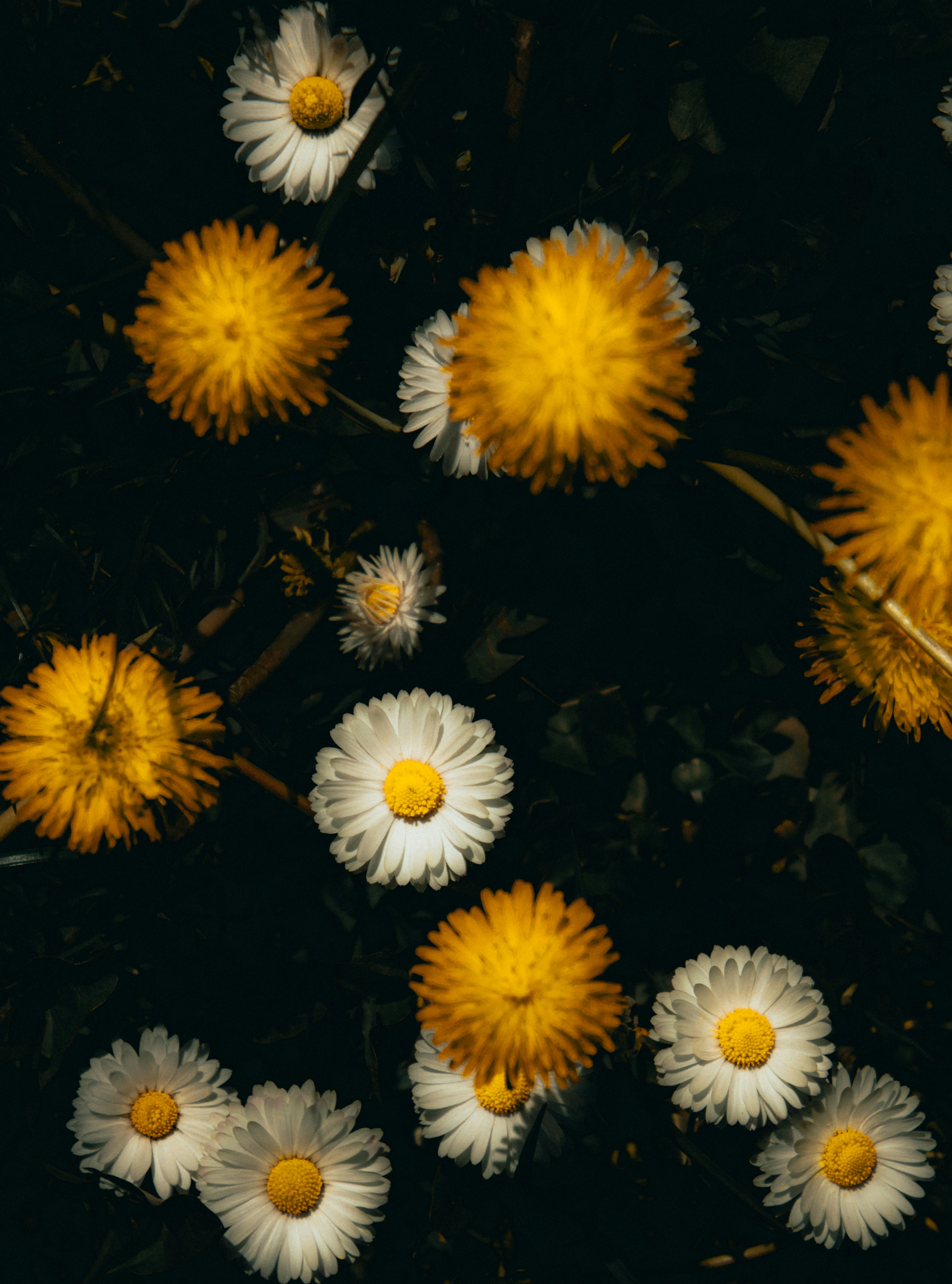 Photo by mineral_of_demon