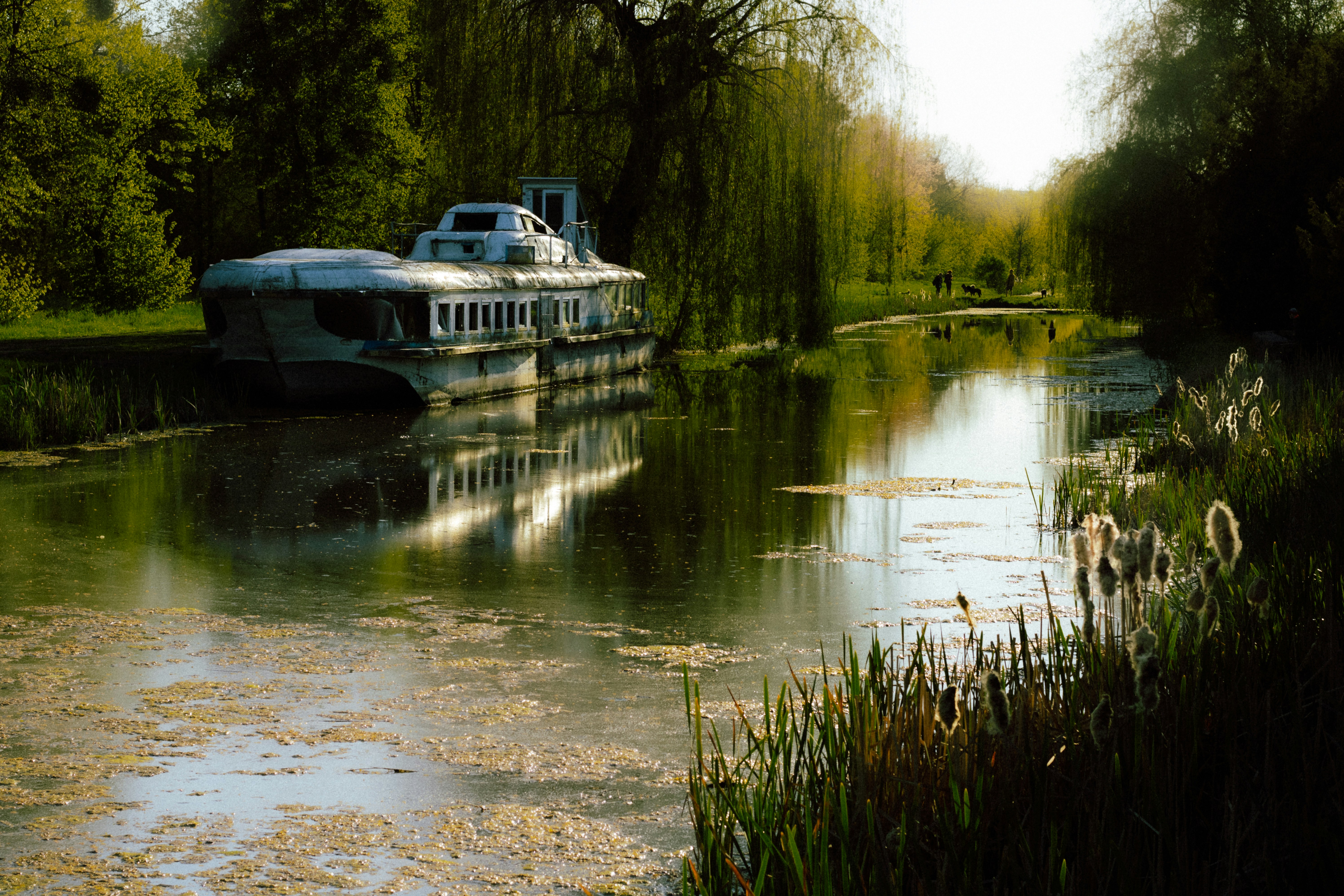 Photo by mineral_of_demon