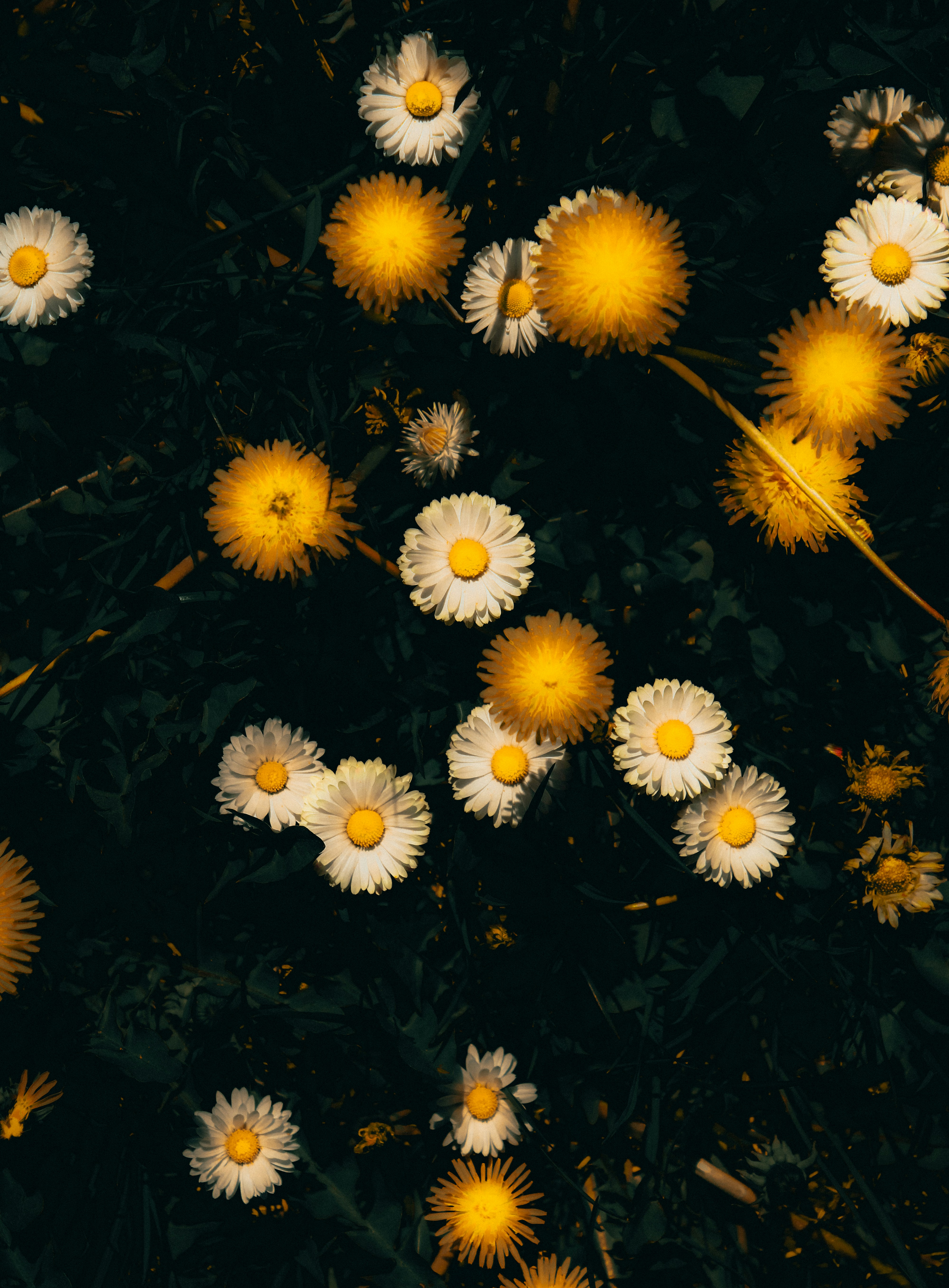 Photo by mineral_of_demon