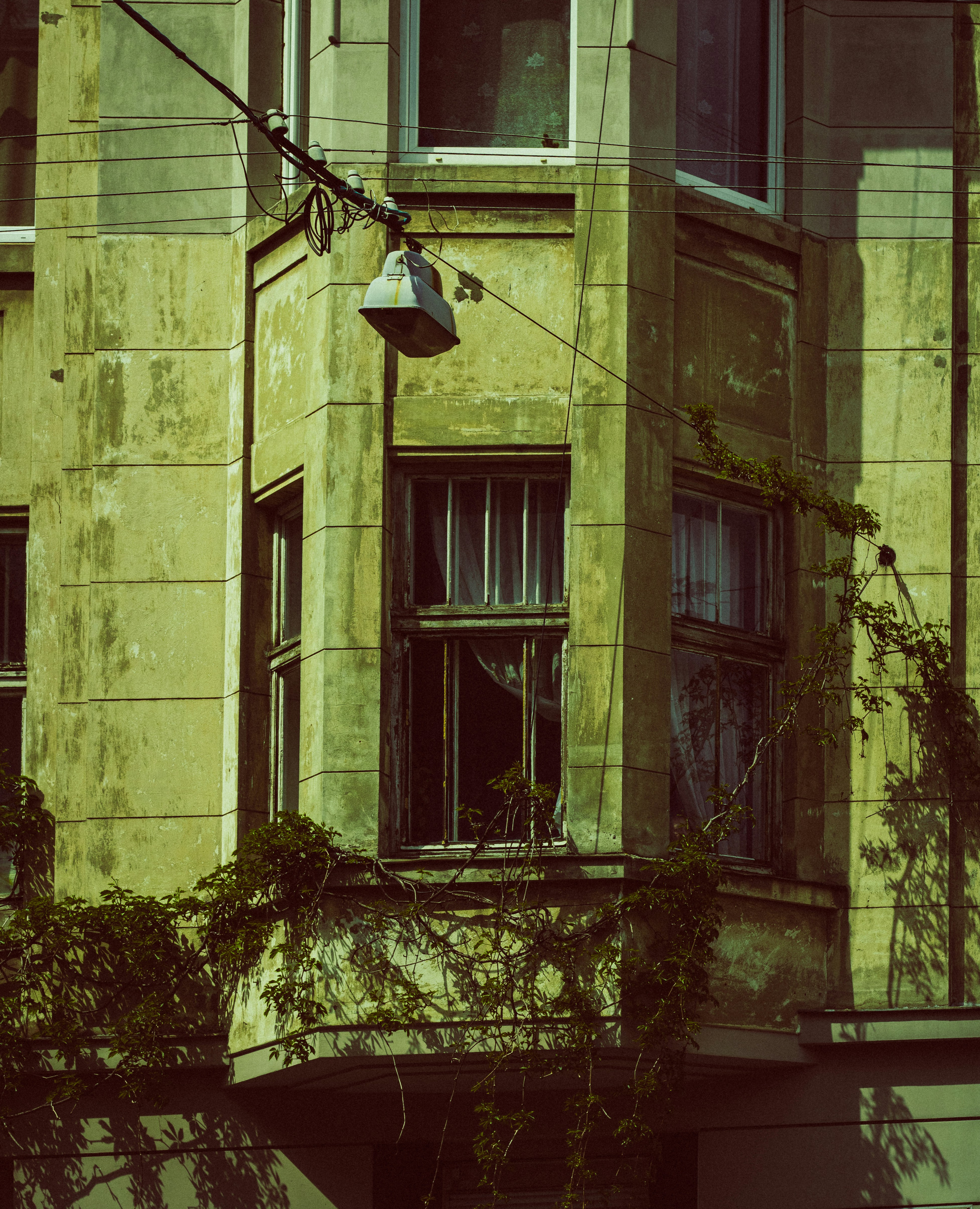 Photo by mineral_of_demon