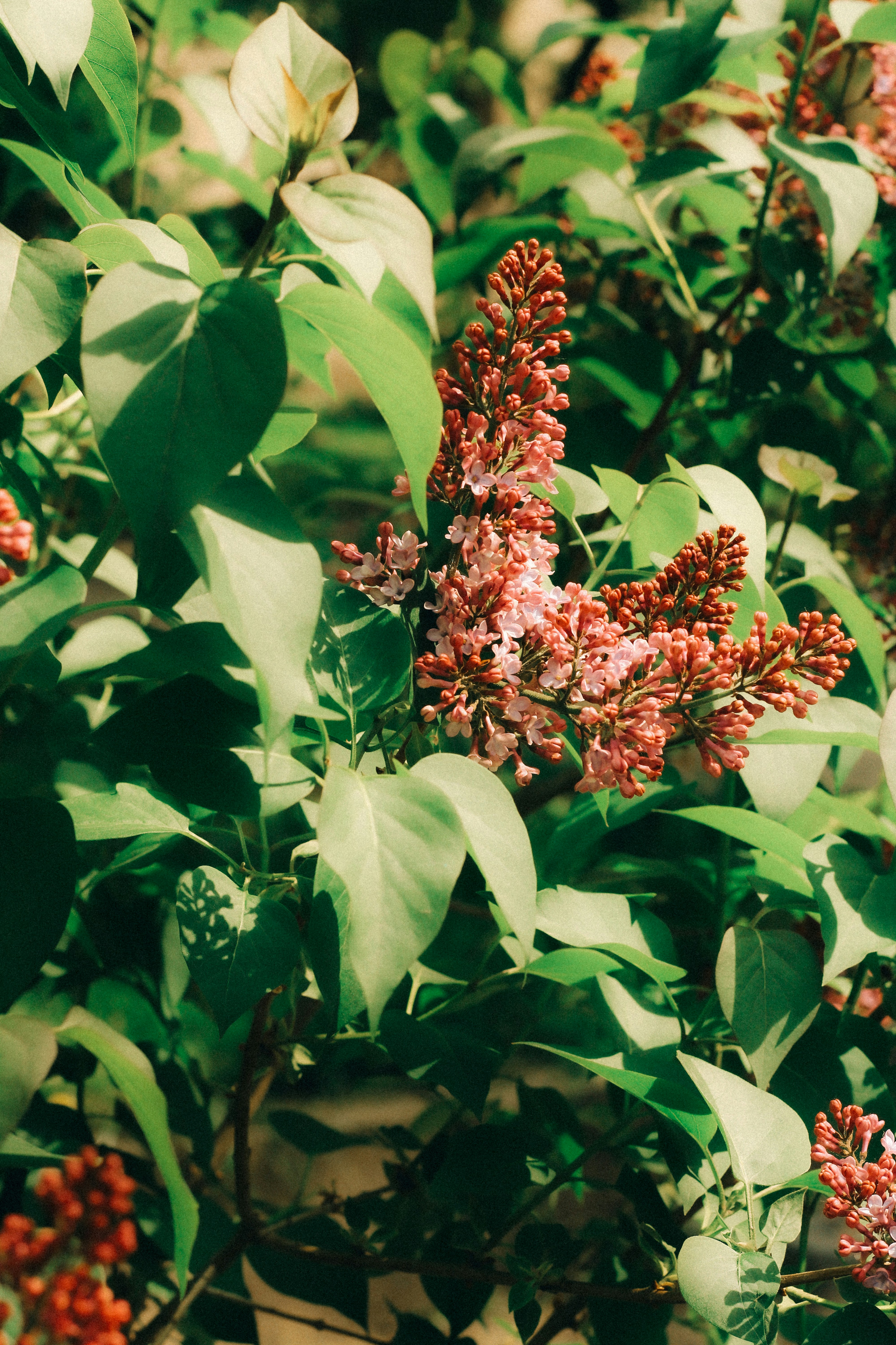 Photo by mineral_of_demon