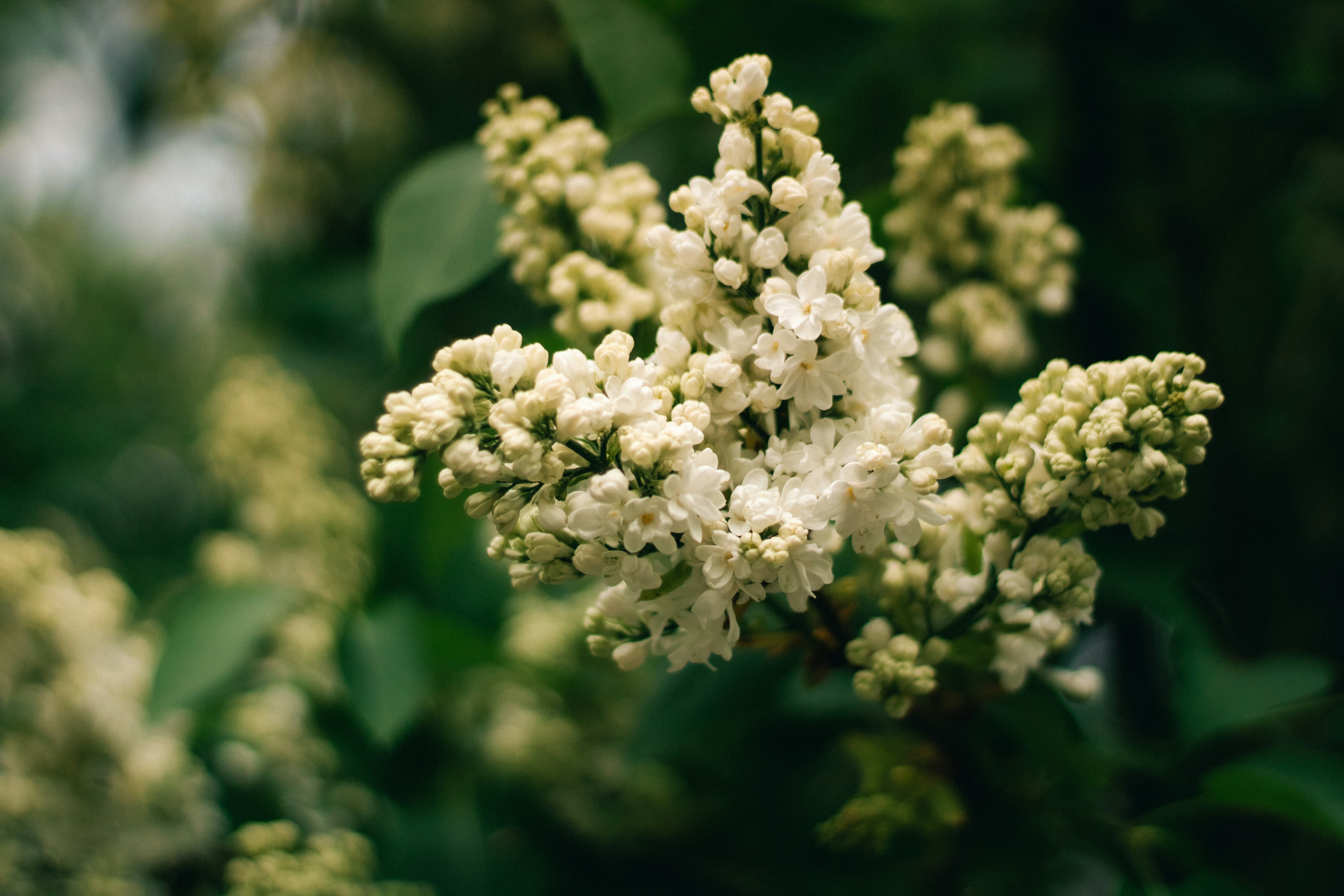 Photo by mineral_of_demon