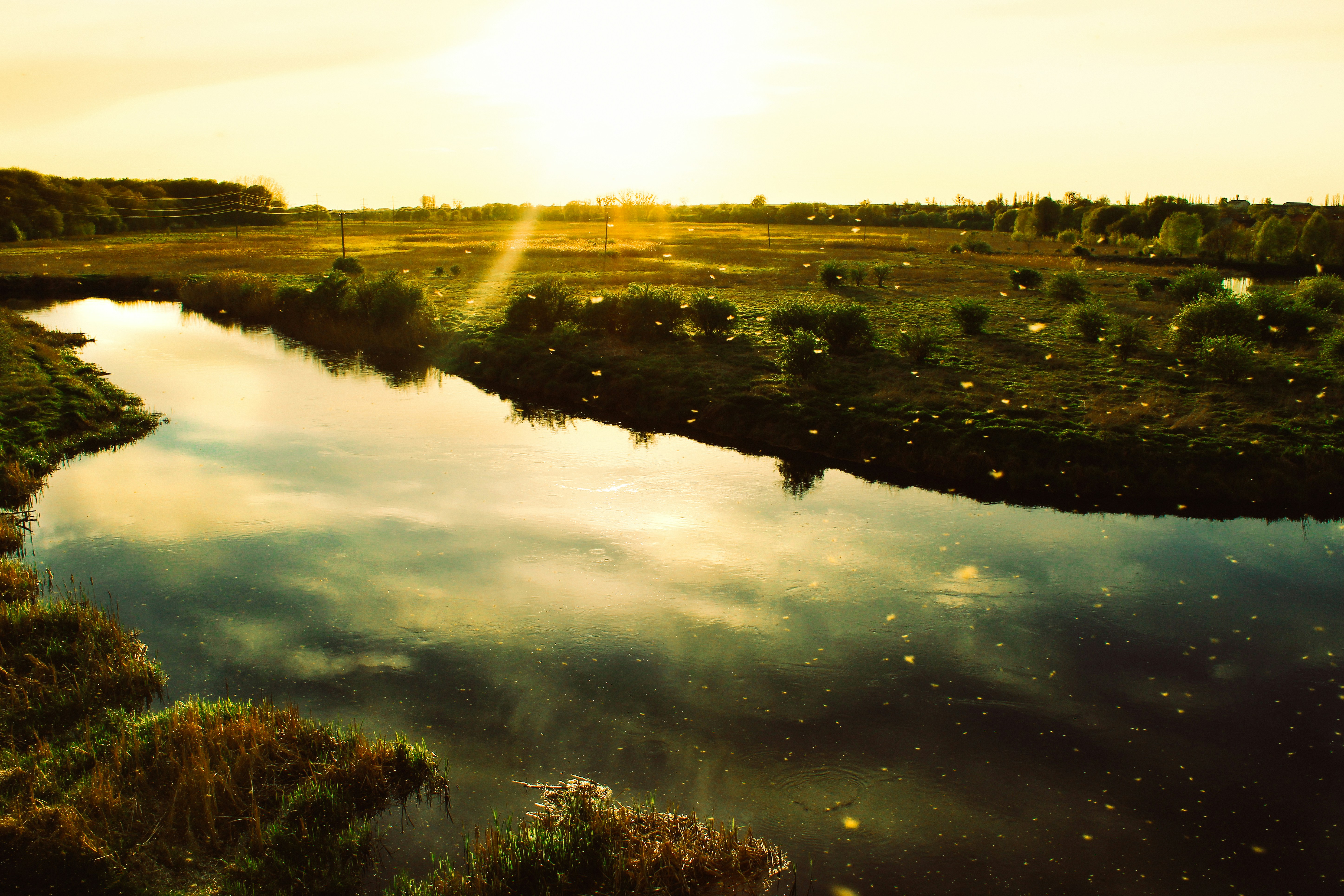 Photo by mineral_of_demon