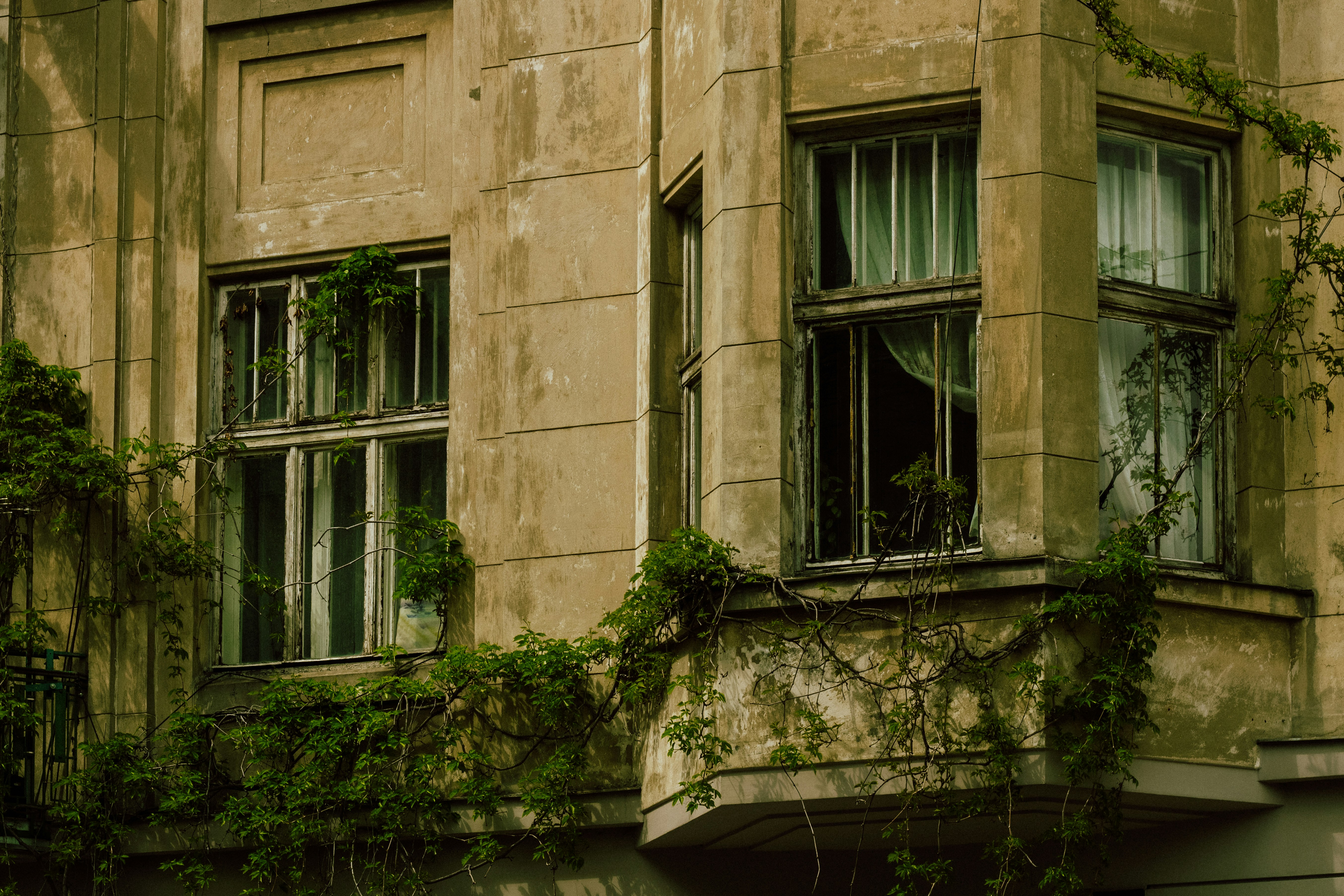 Photo by mineral_of_demon