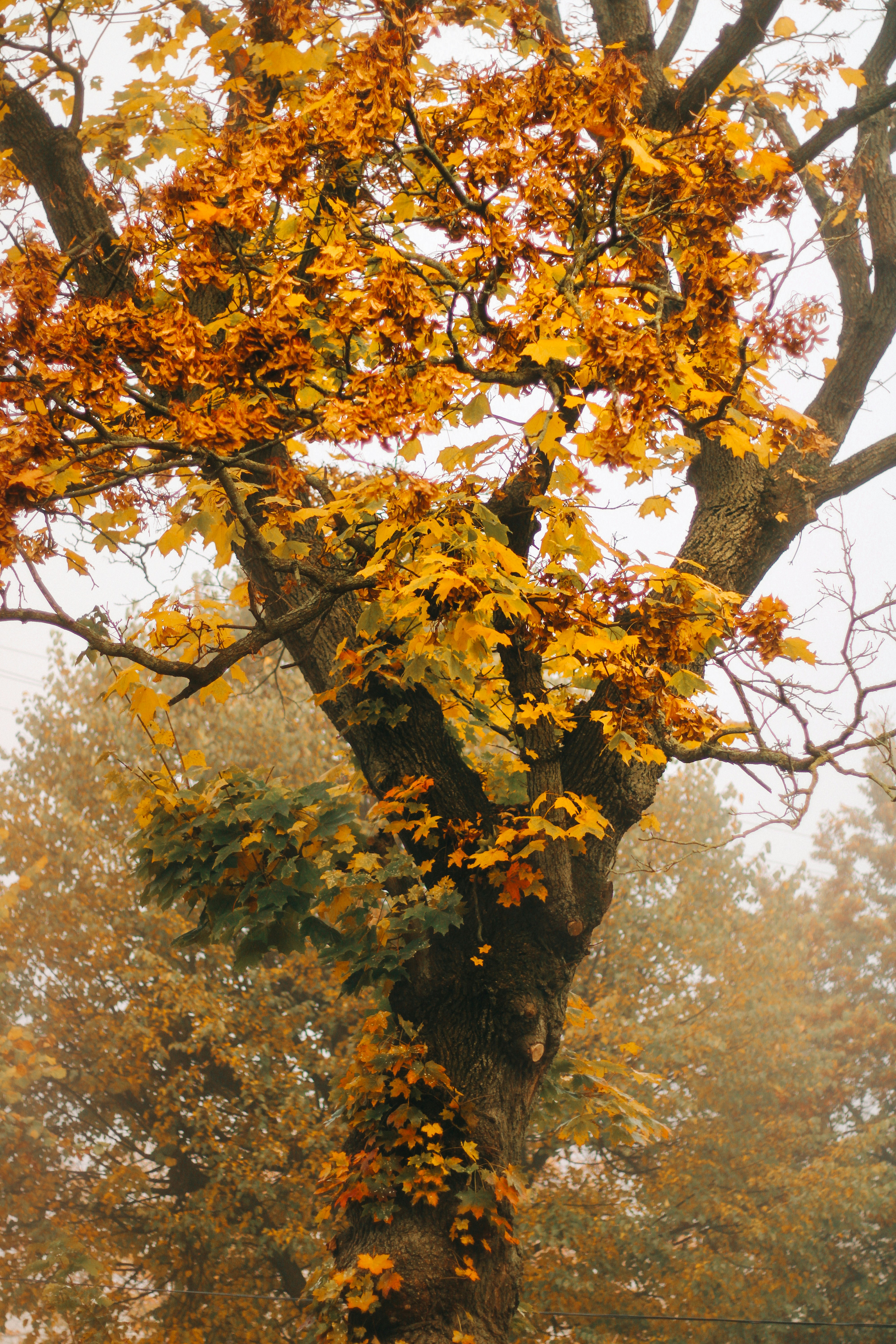 Photo by mineral_of_demon