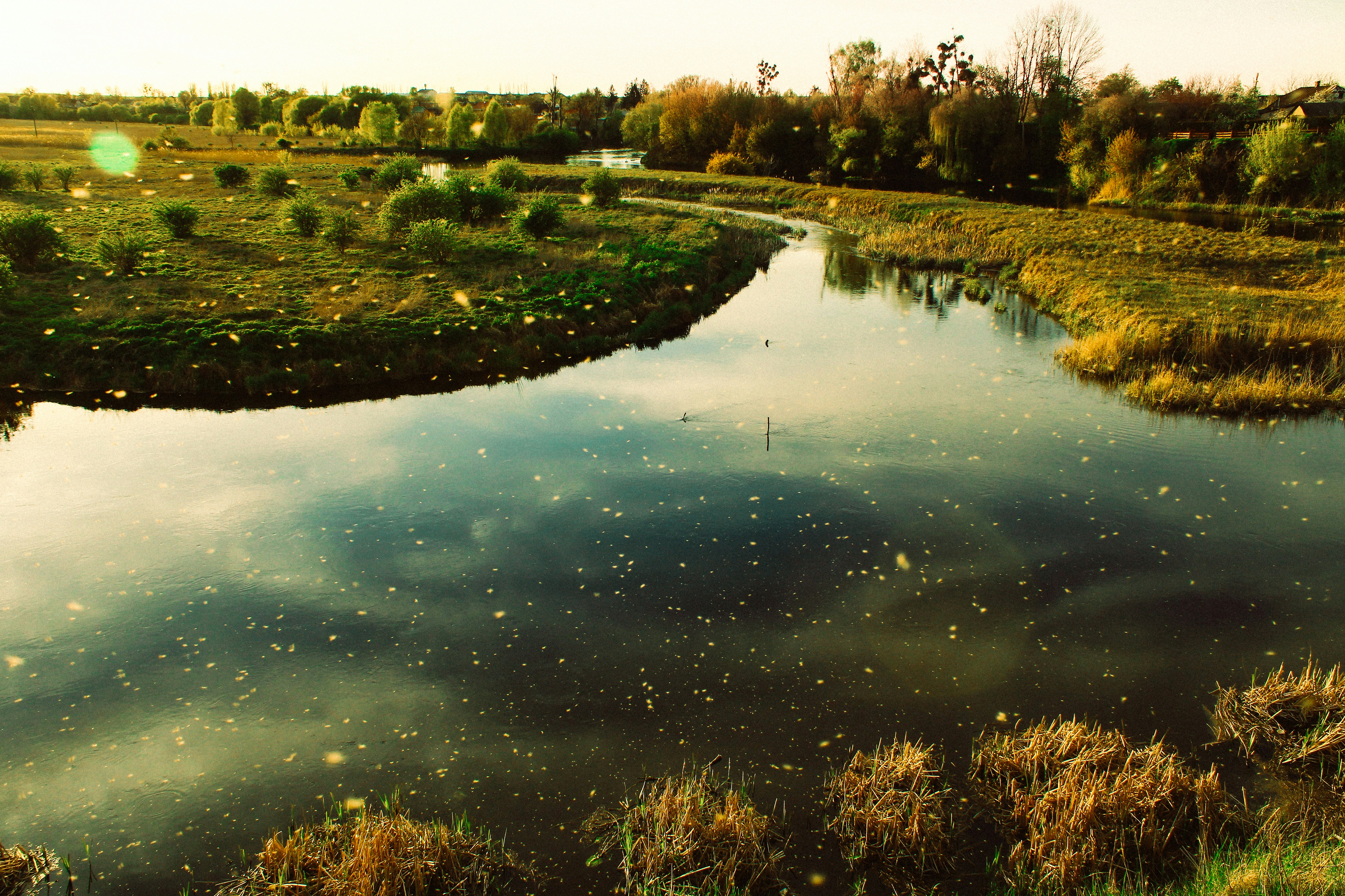 Photo by mineral_of_demon