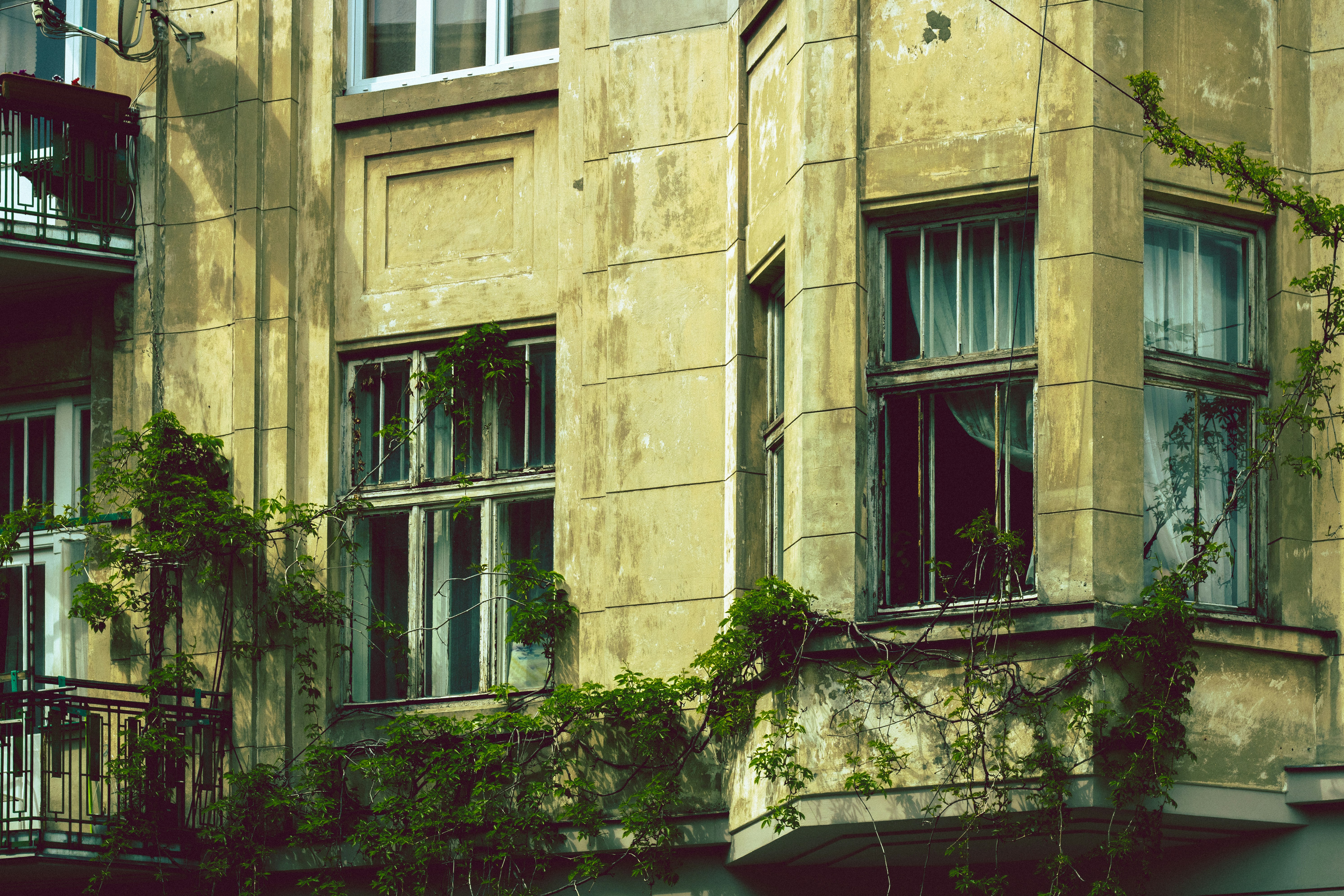 Photo by mineral_of_demon