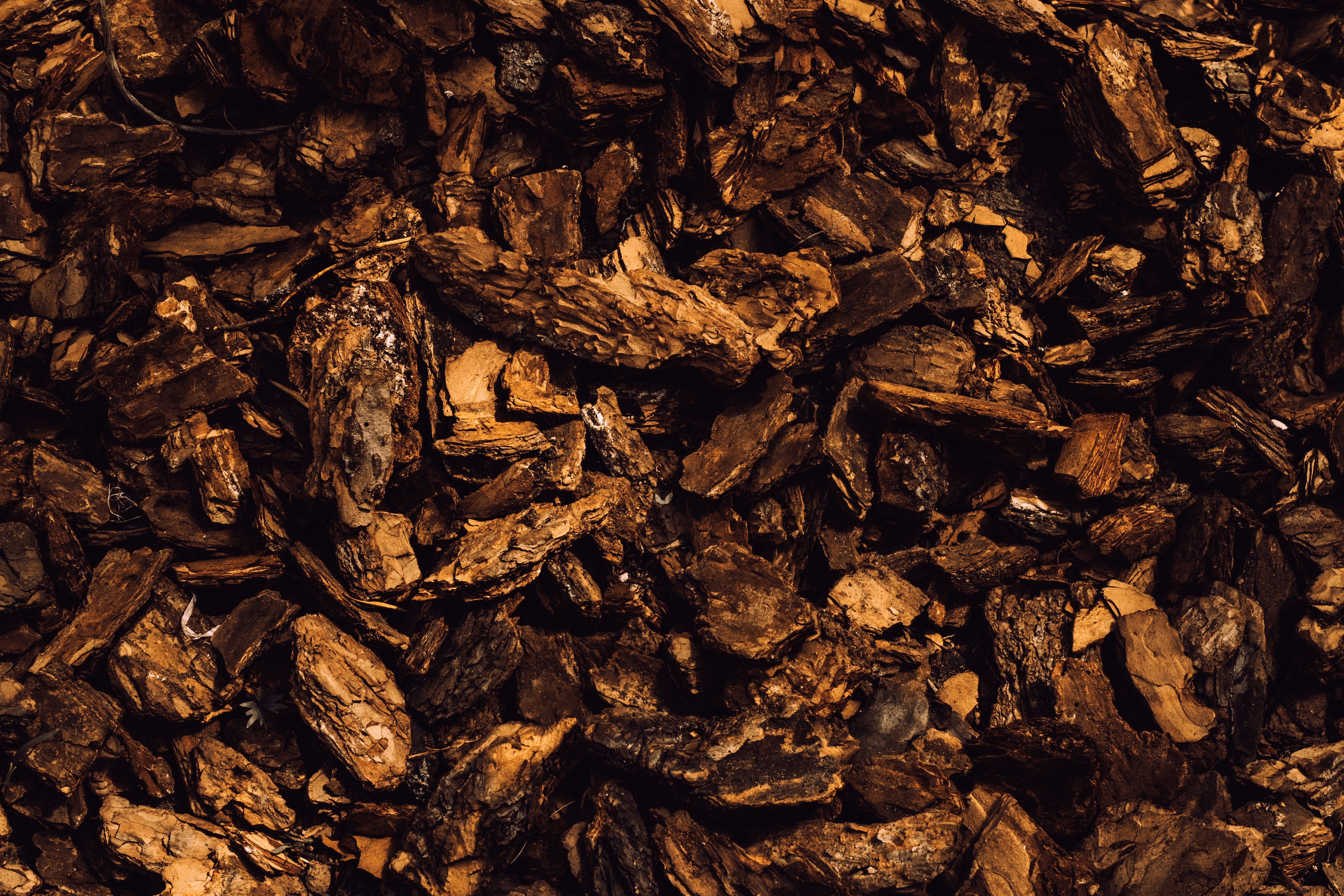 Photo by mineral_of_demon