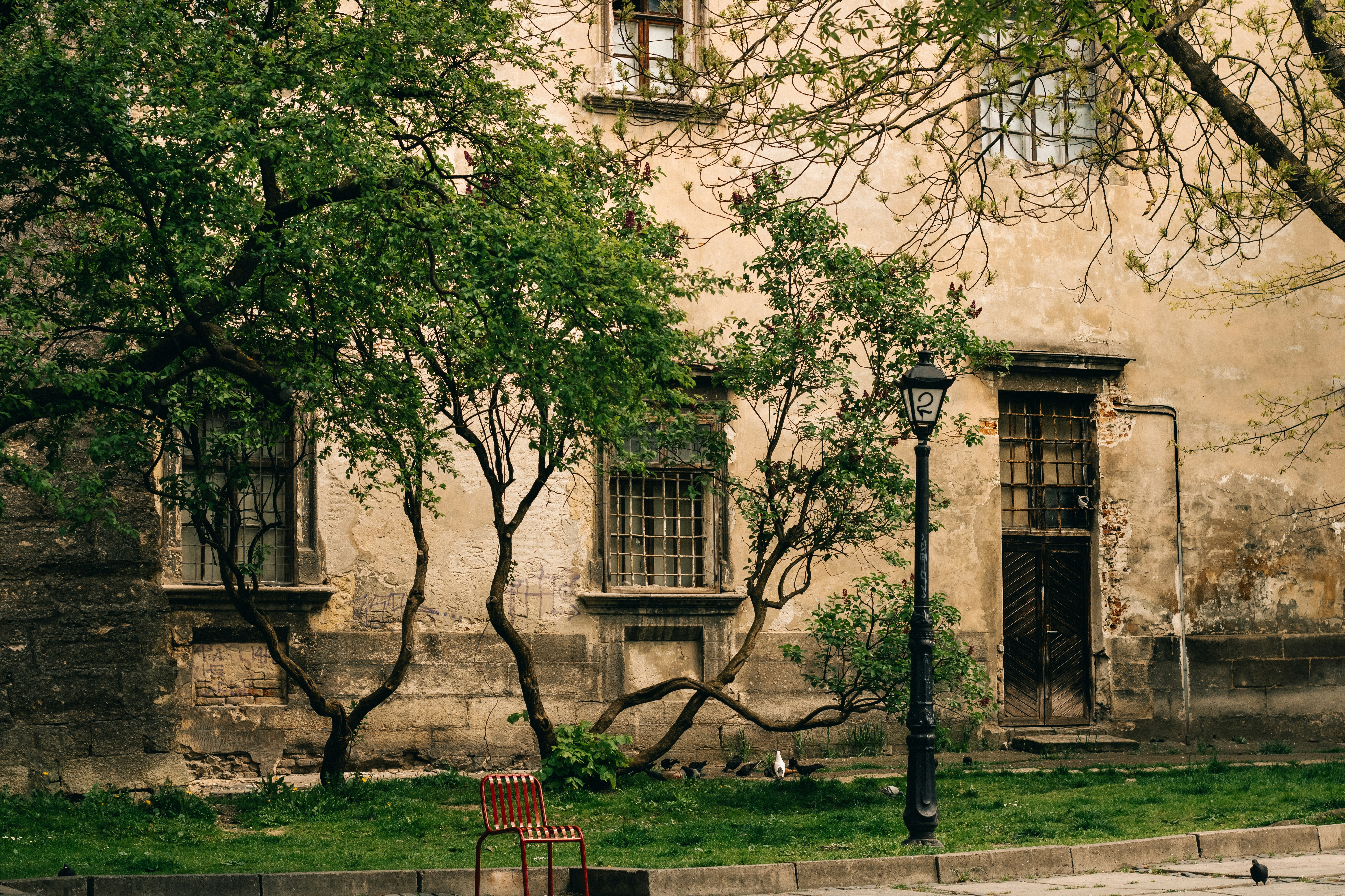 Photo by mineral_of_demon