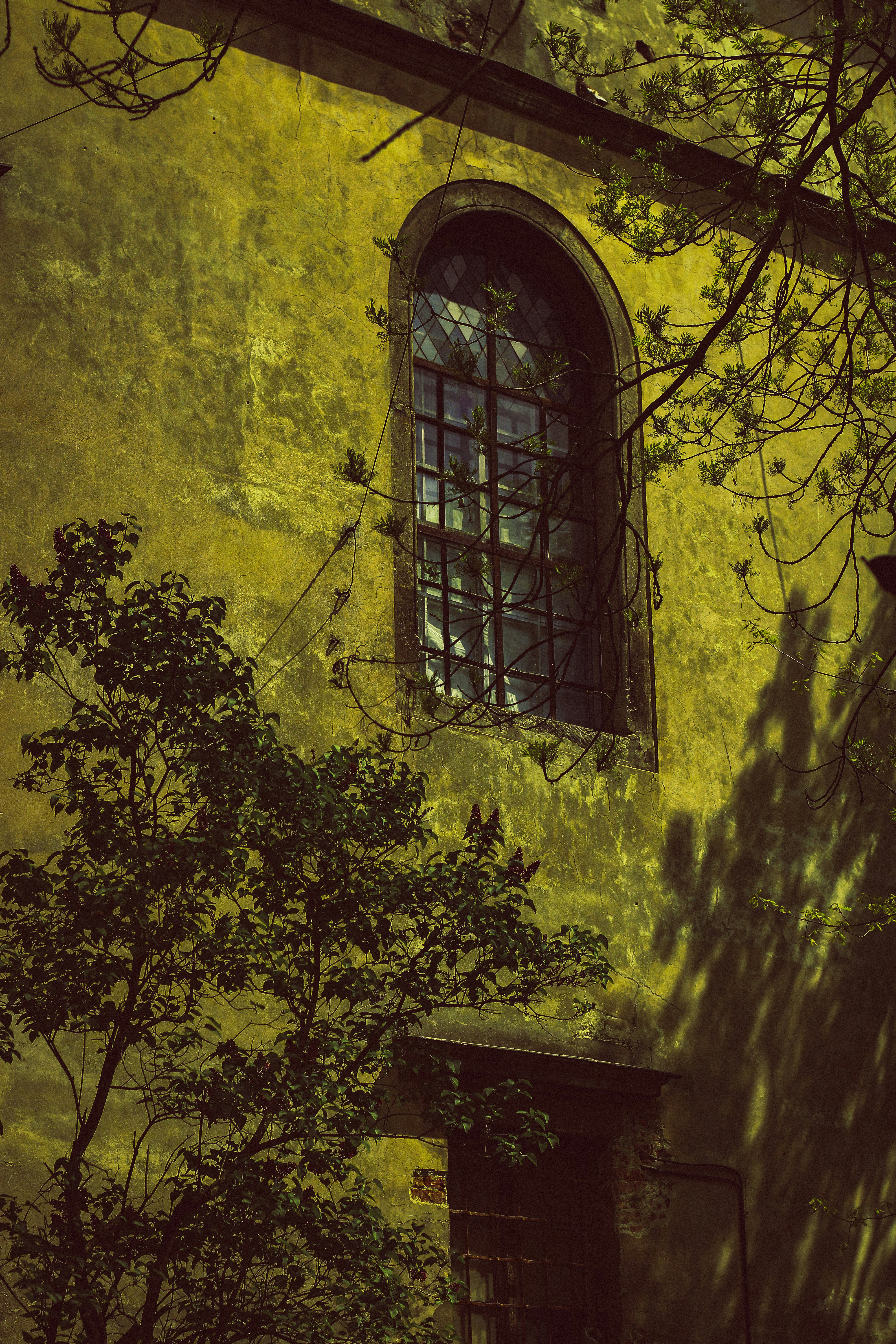 Photo by mineral_of_demon