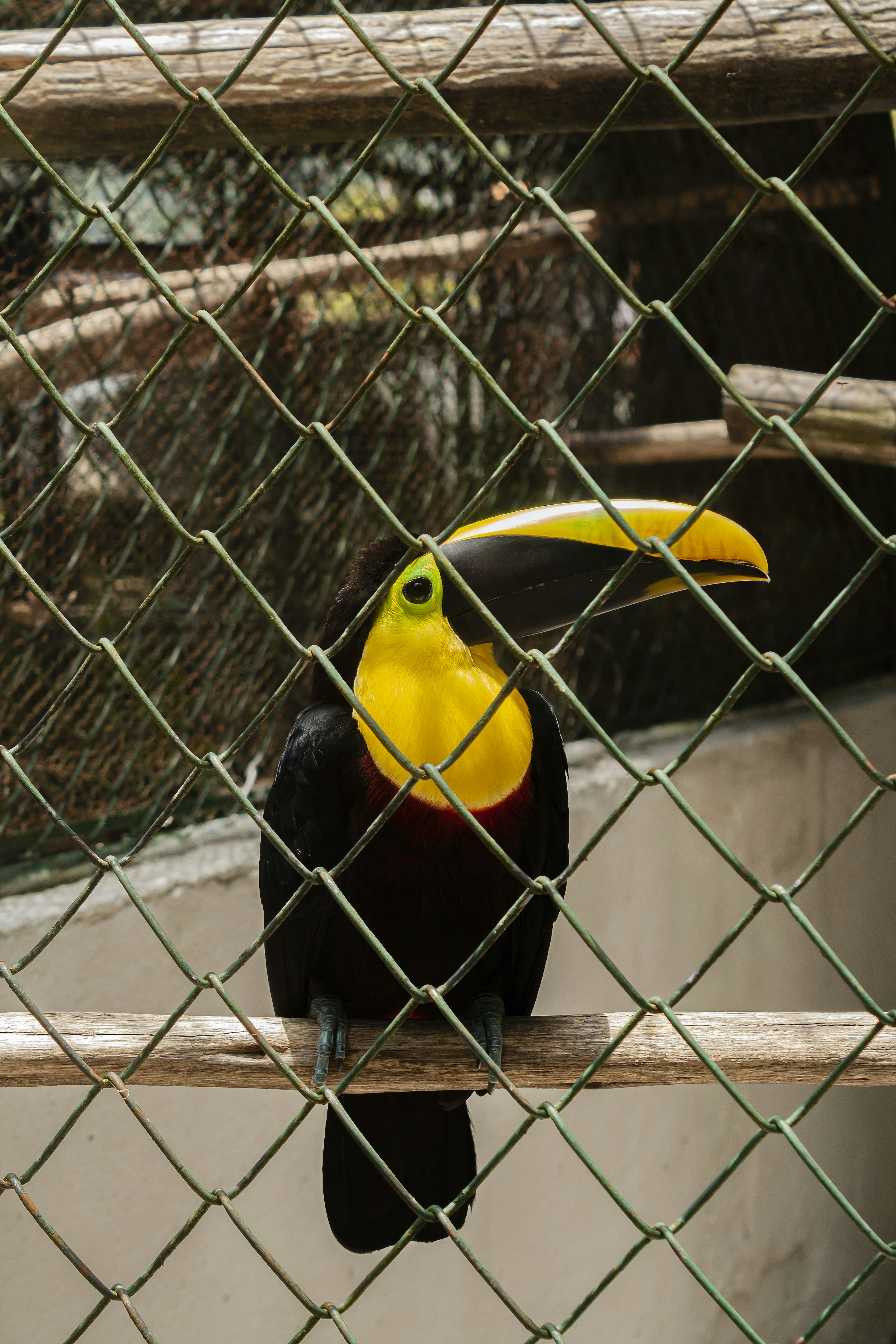 Photo by americanaez225