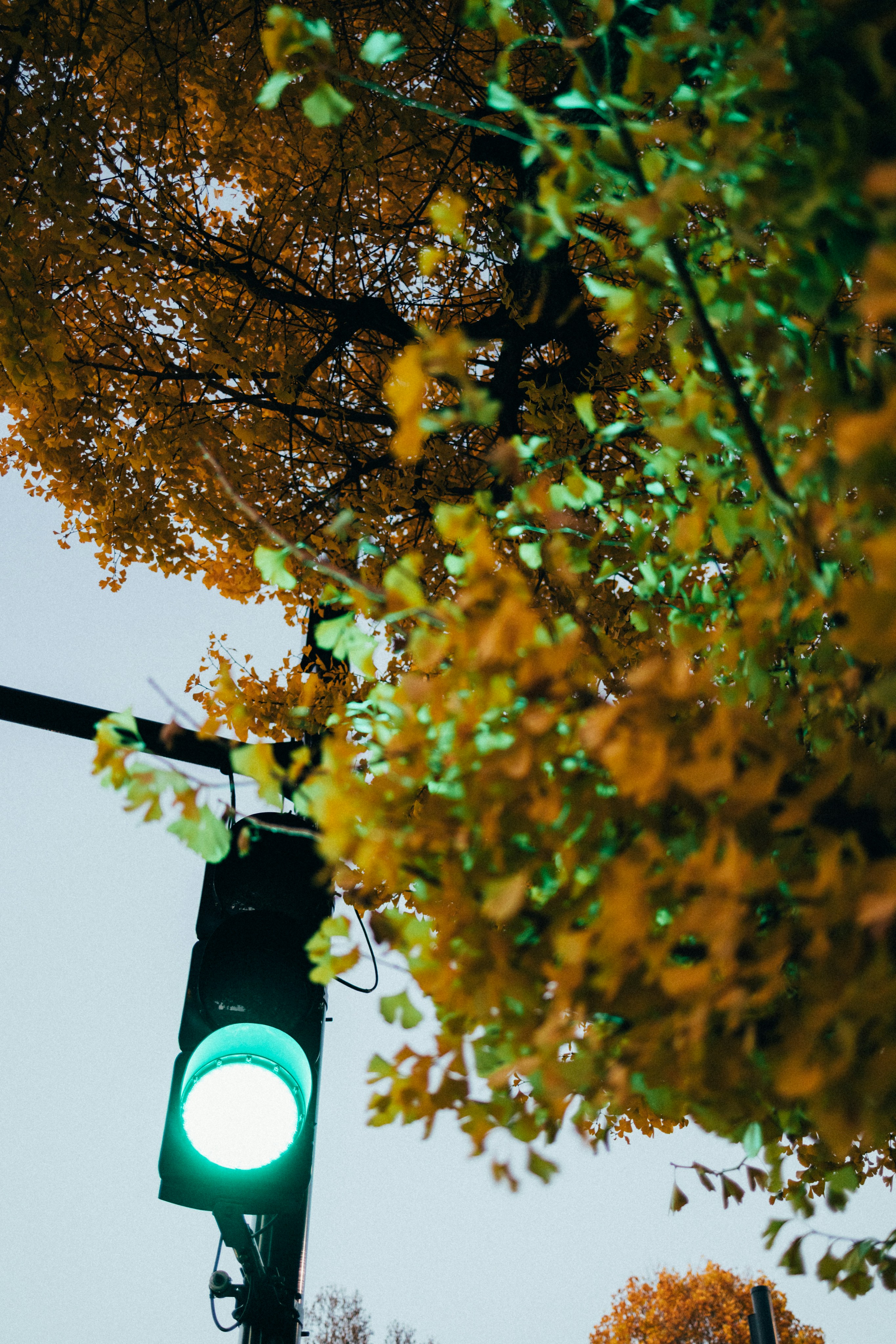 Photo by tsuyoshikozu