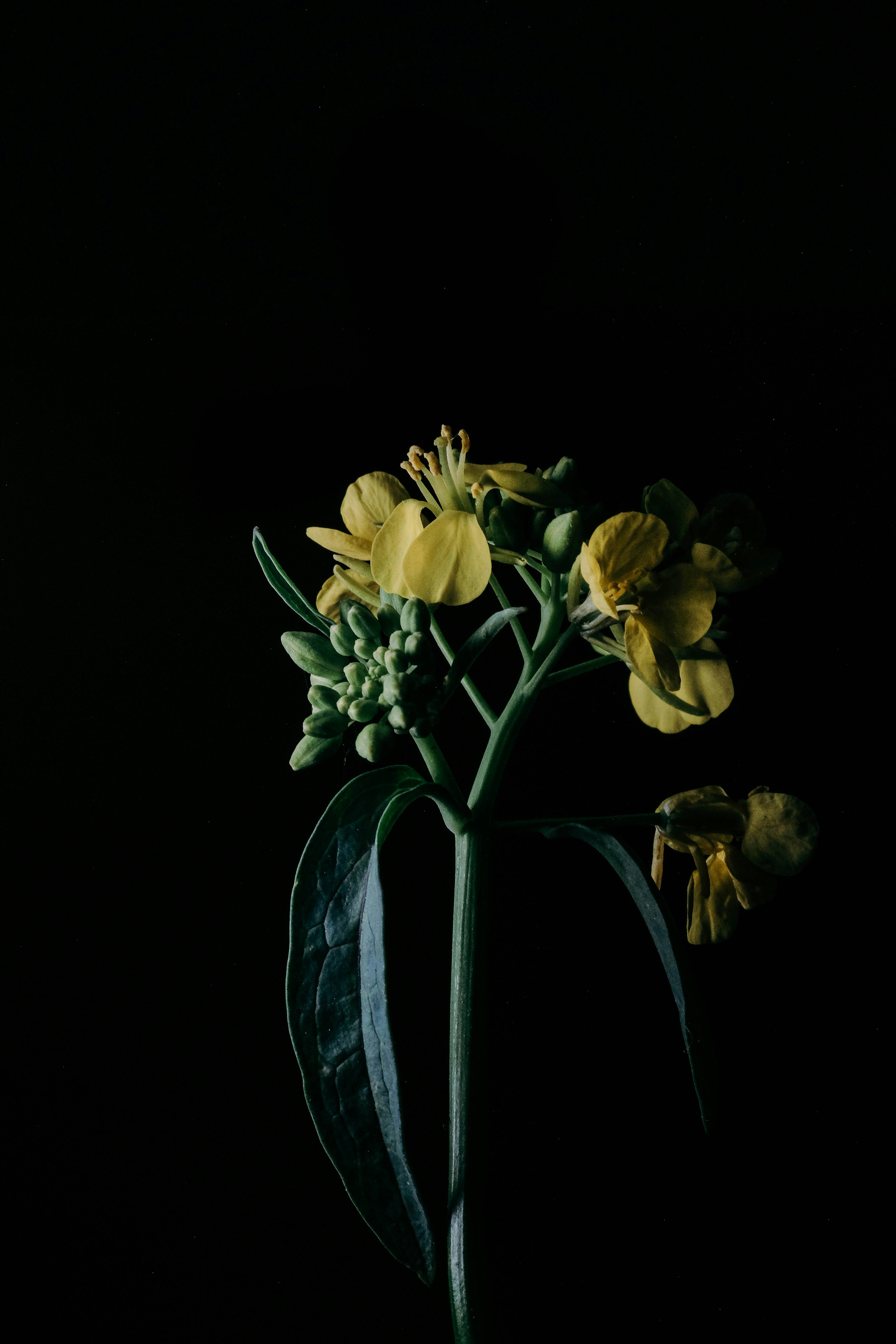 Photo by insungpandora