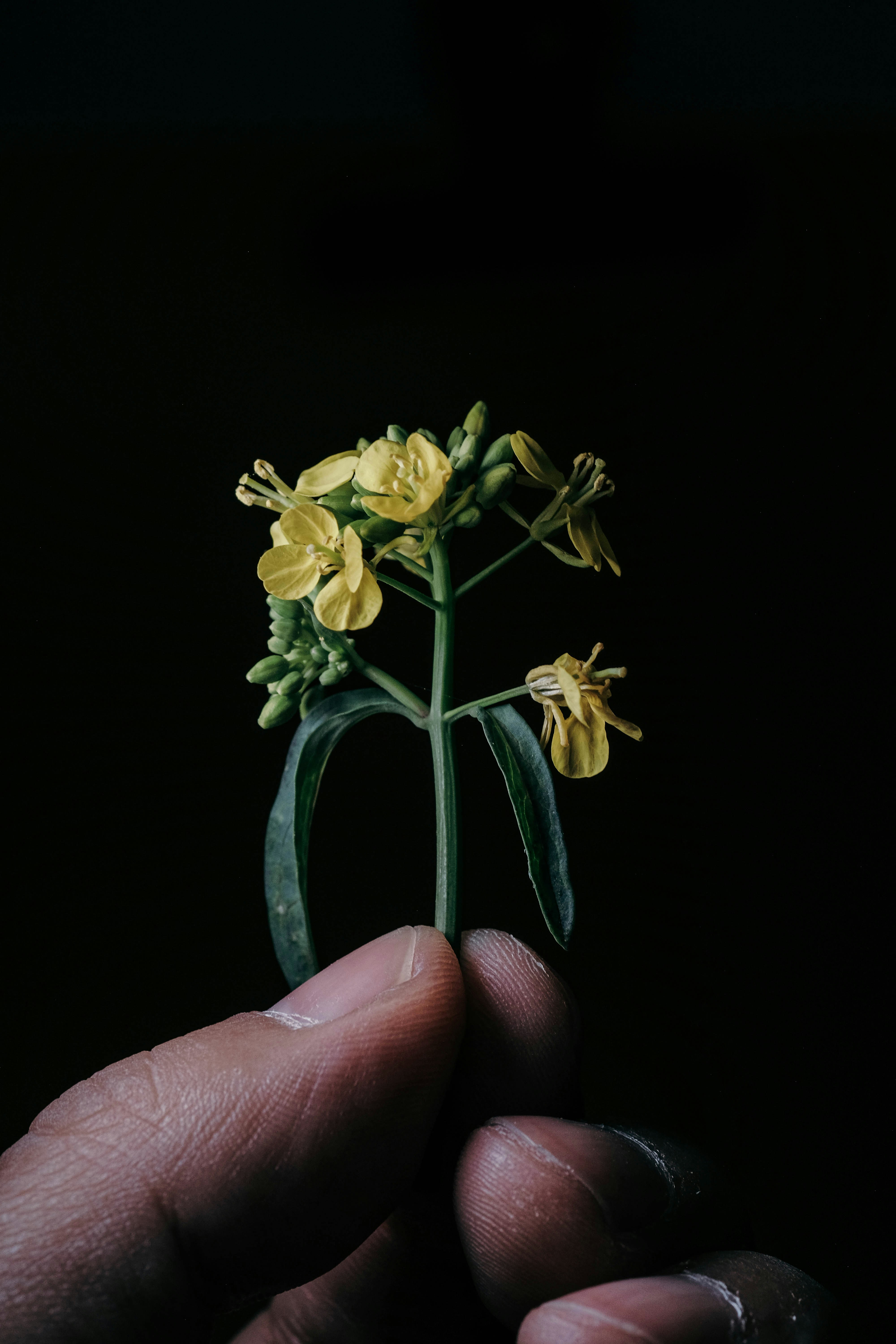 Photo by insungpandora