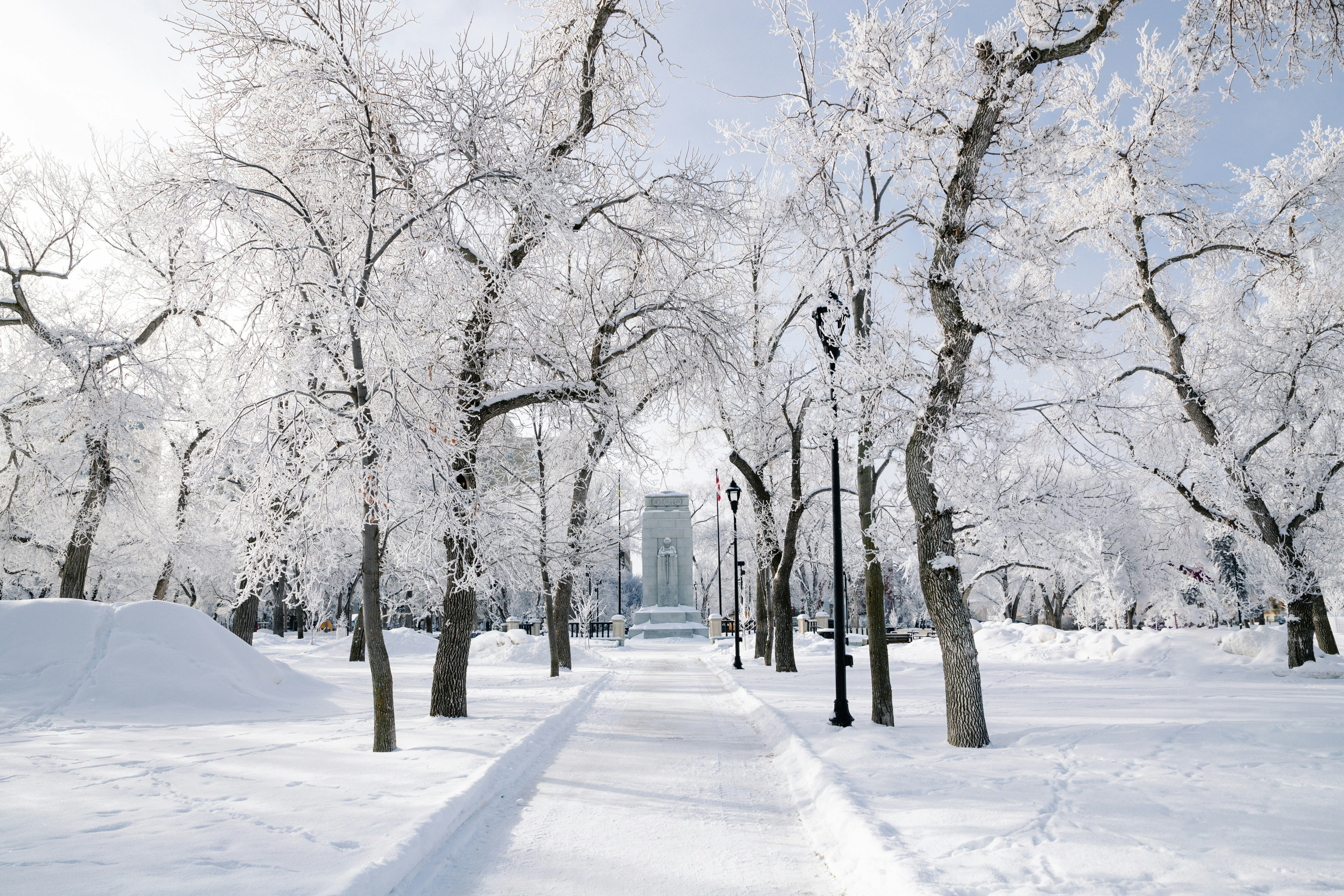 Photo by tandemxvisuals