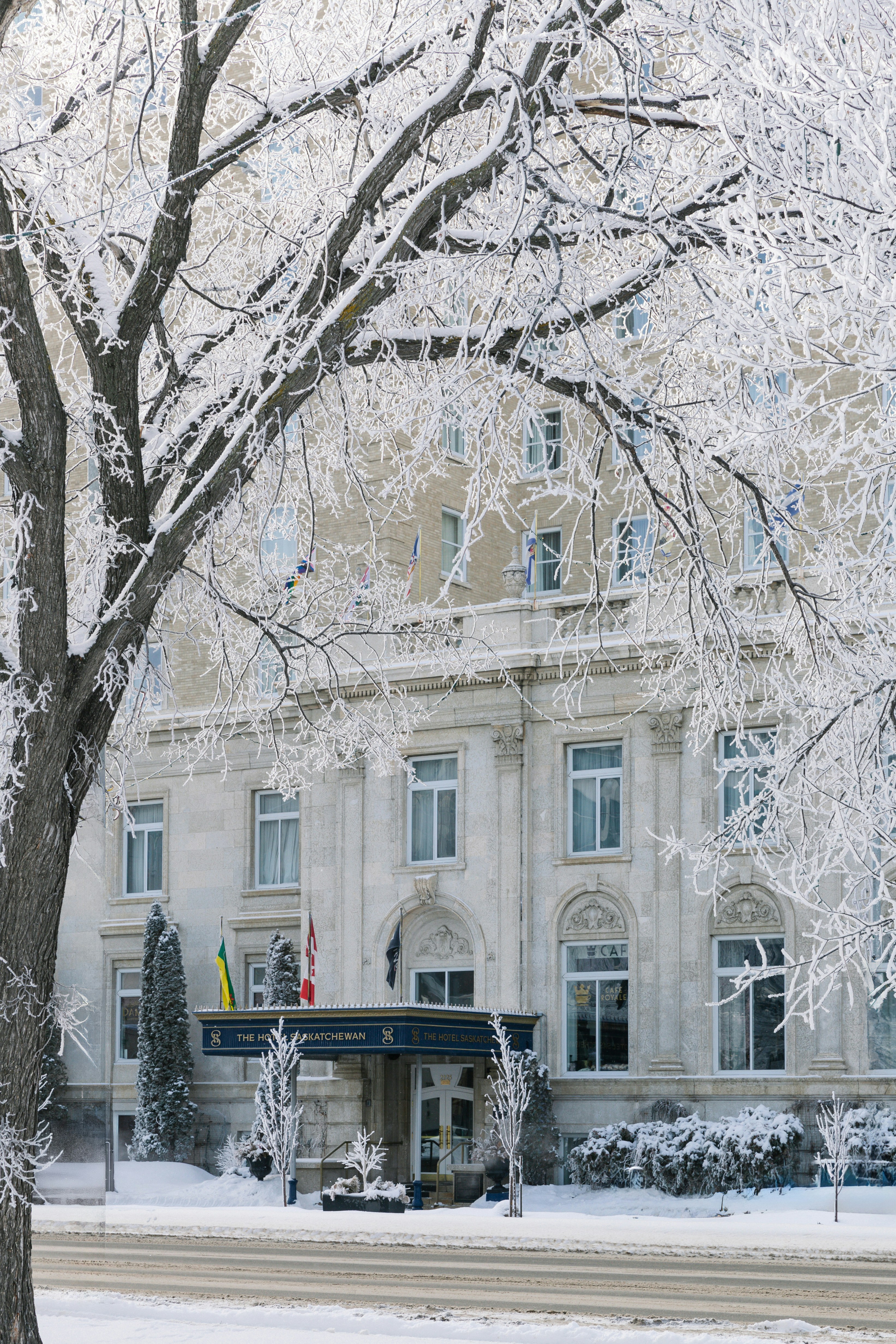 Photo by tandemxvisuals