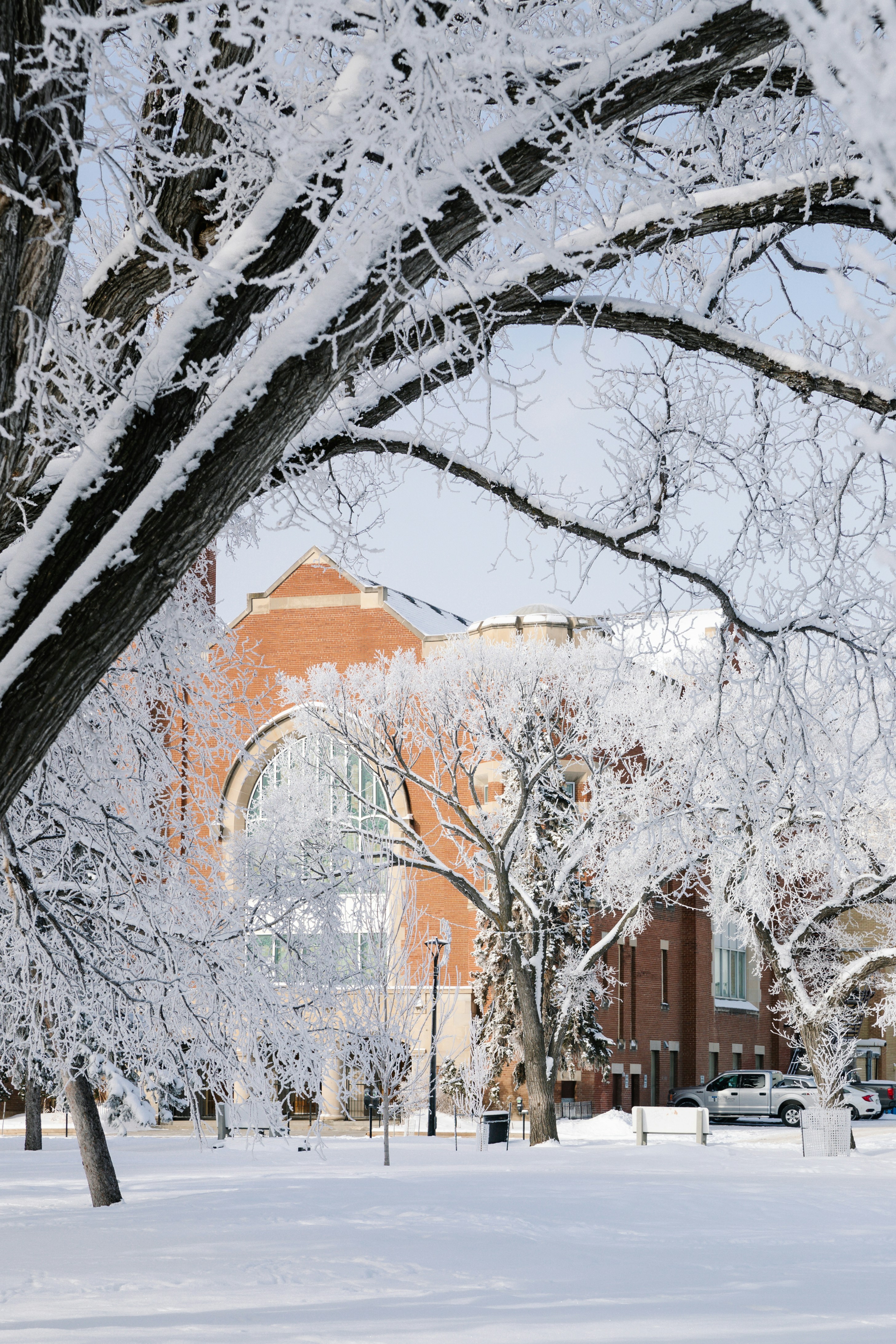 Photo by tandemxvisuals