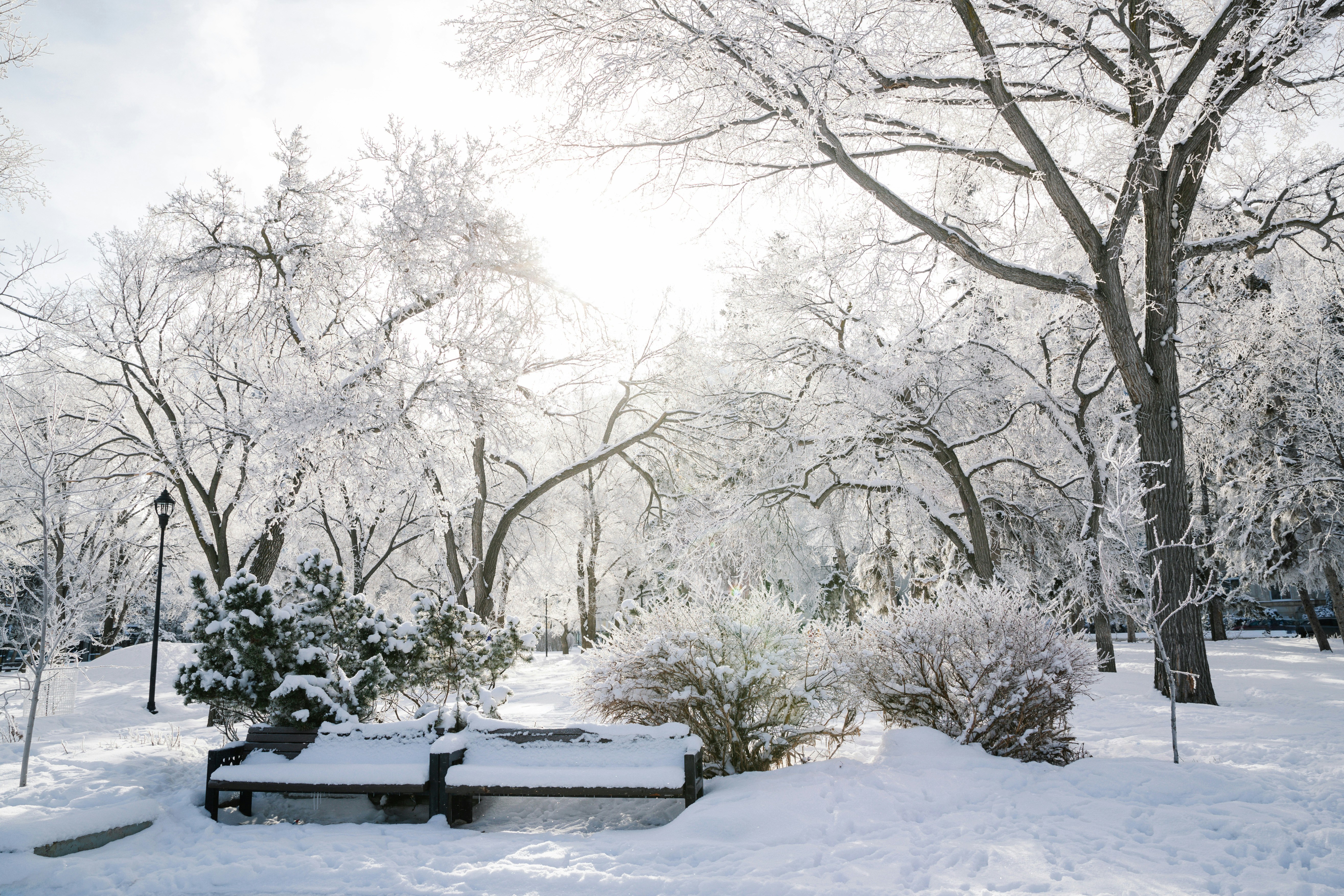 Photo by tandemxvisuals