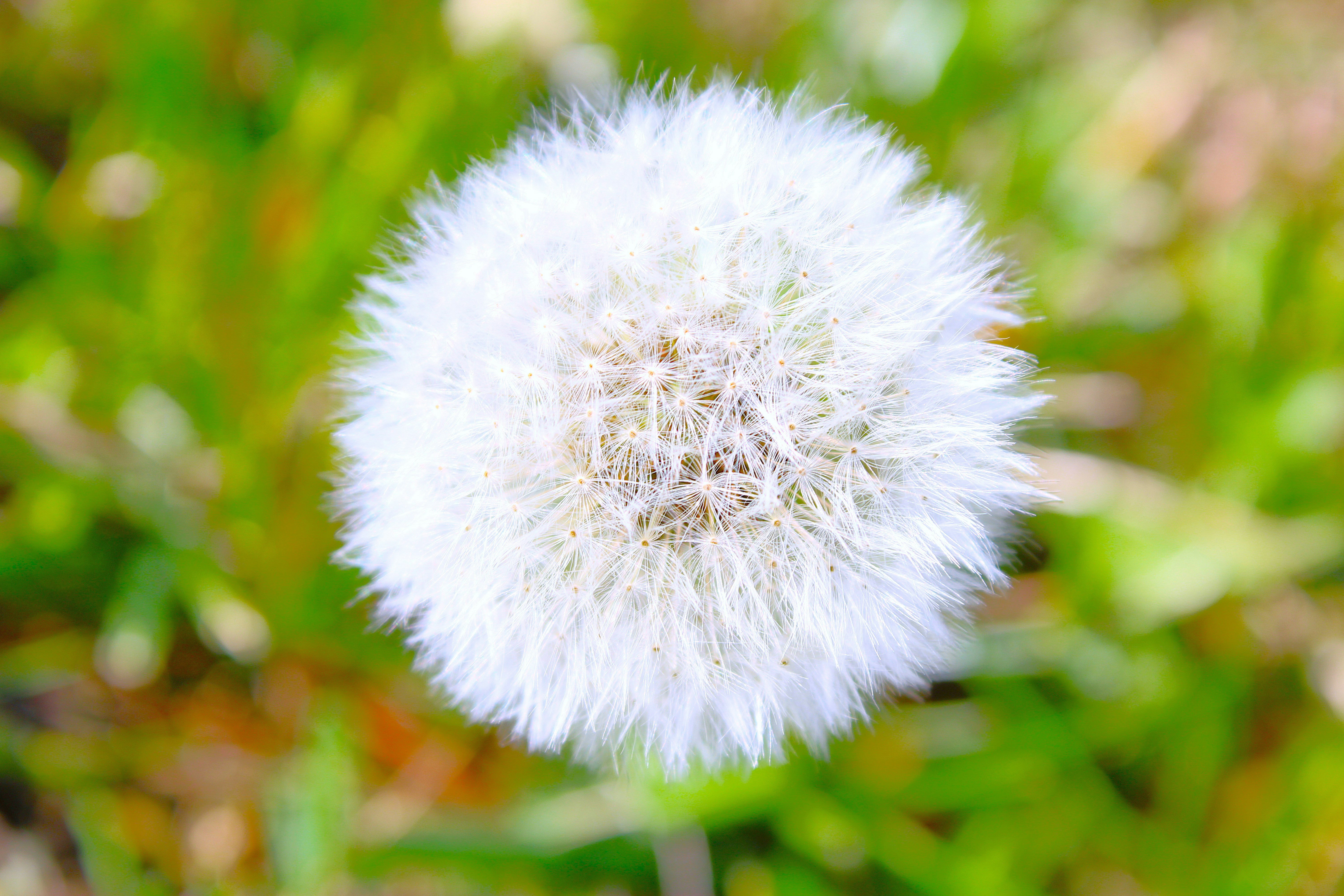 Photo by yesterdaysnovember