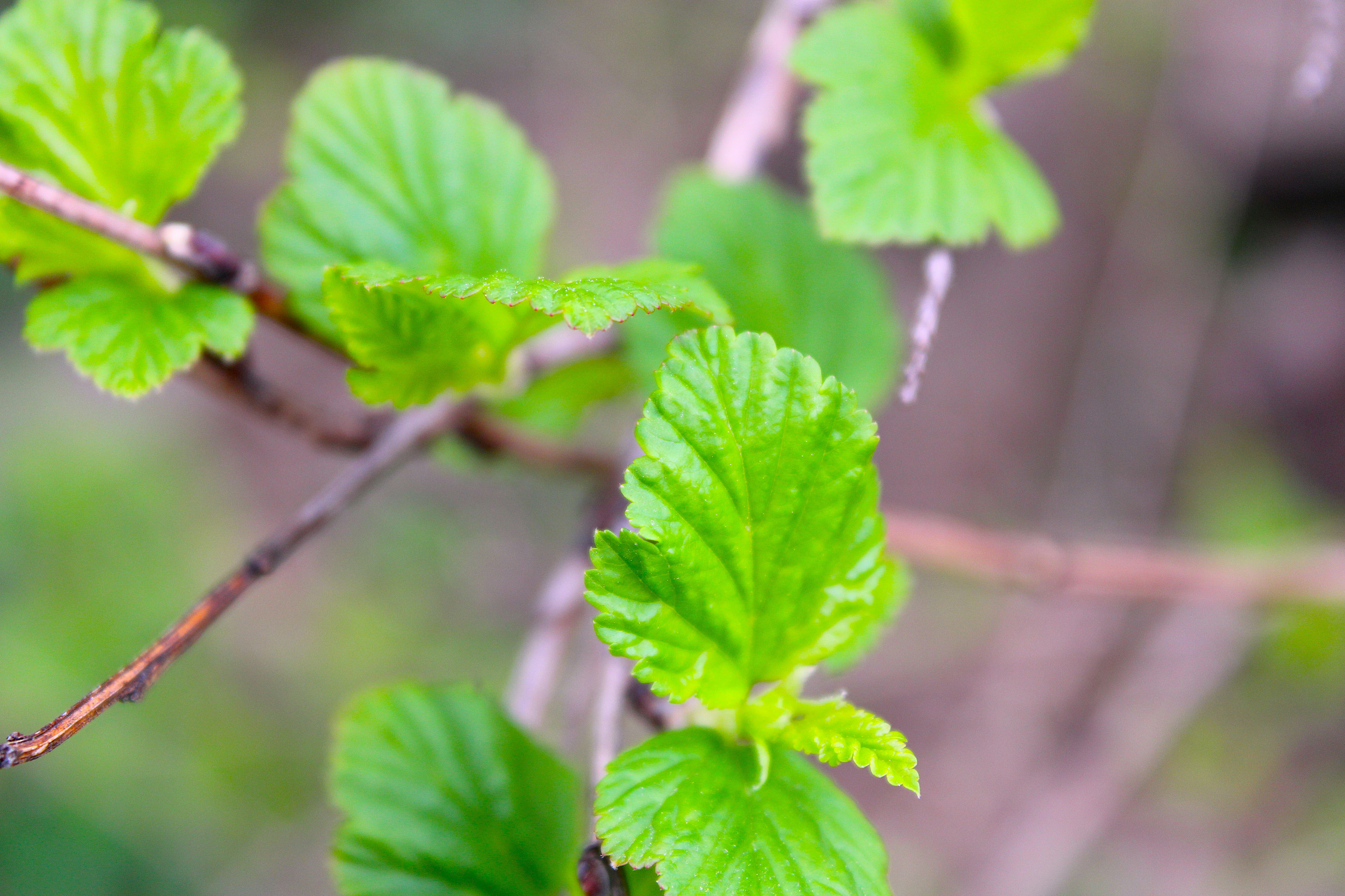 Photo by yesterdaysnovember