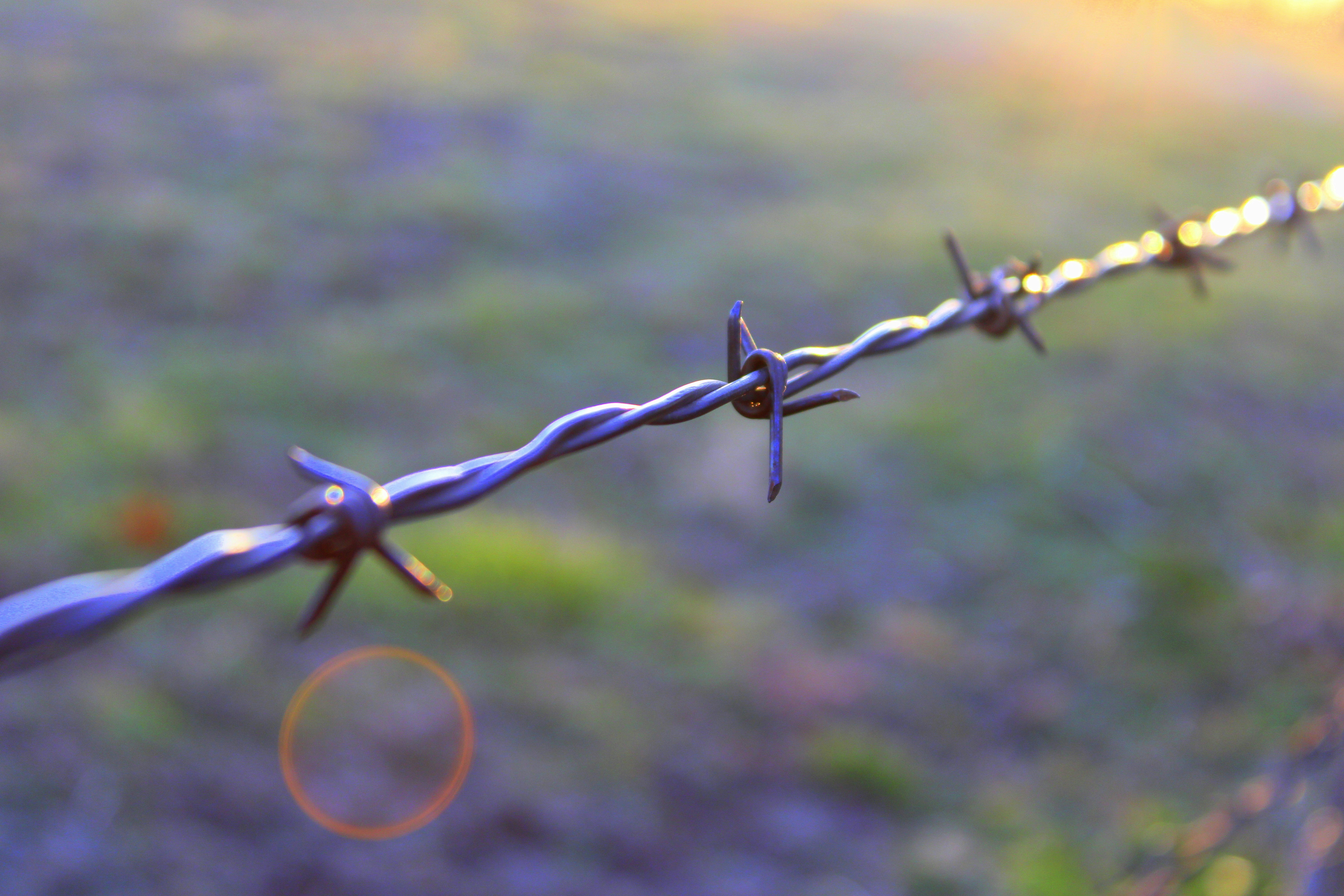 Photo by yesterdaysnovember