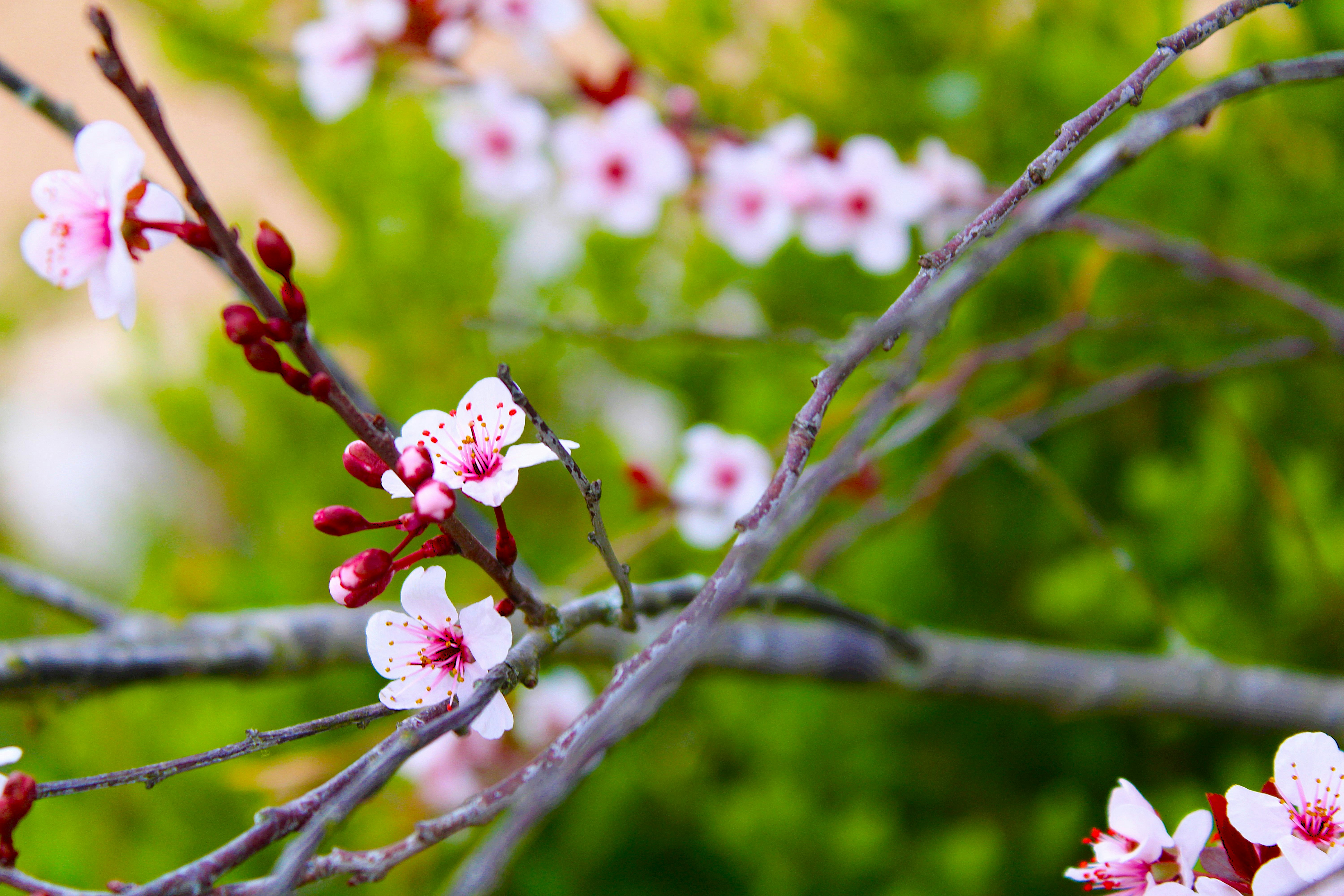 Photo by yesterdaysnovember