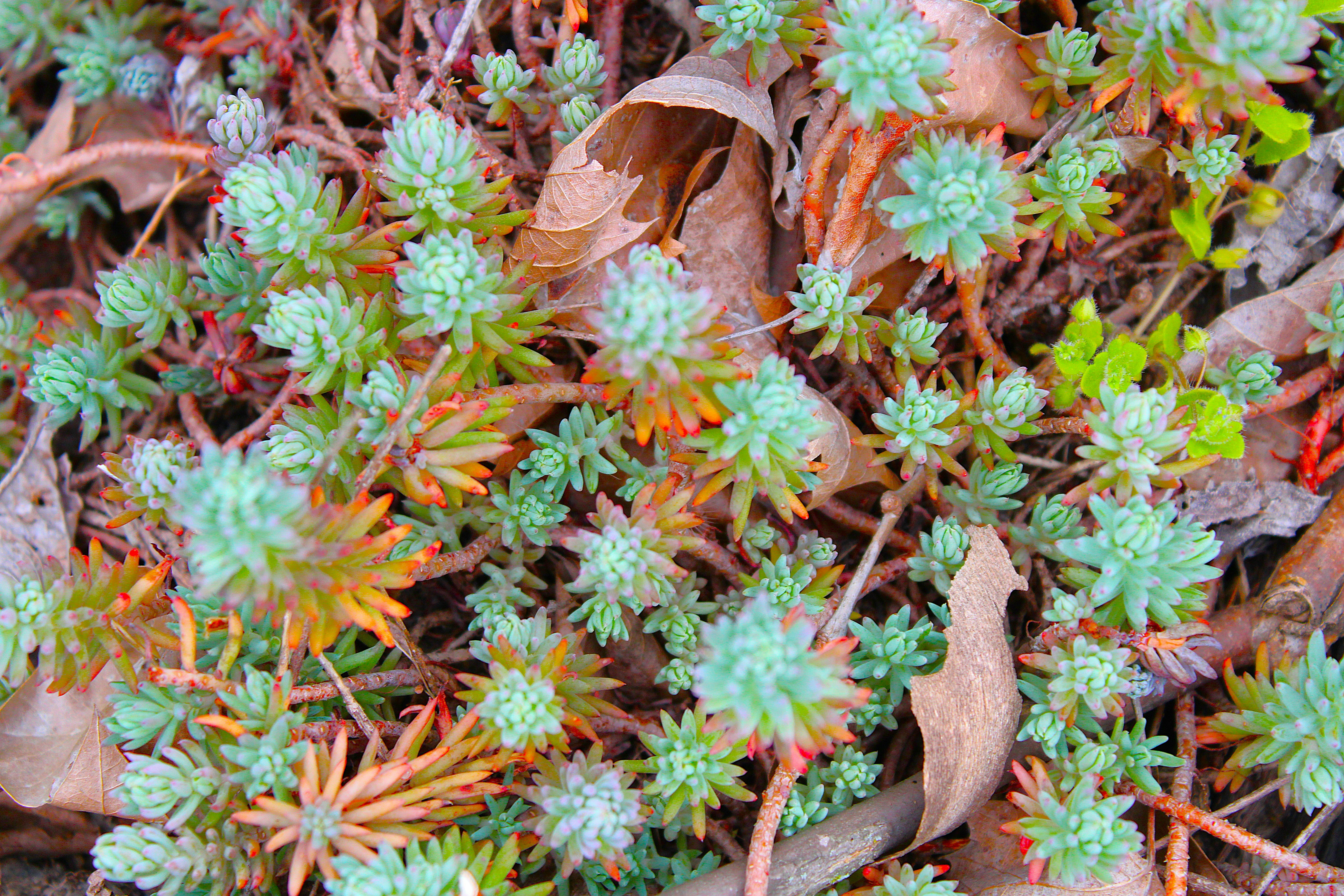 Photo by yesterdaysnovember