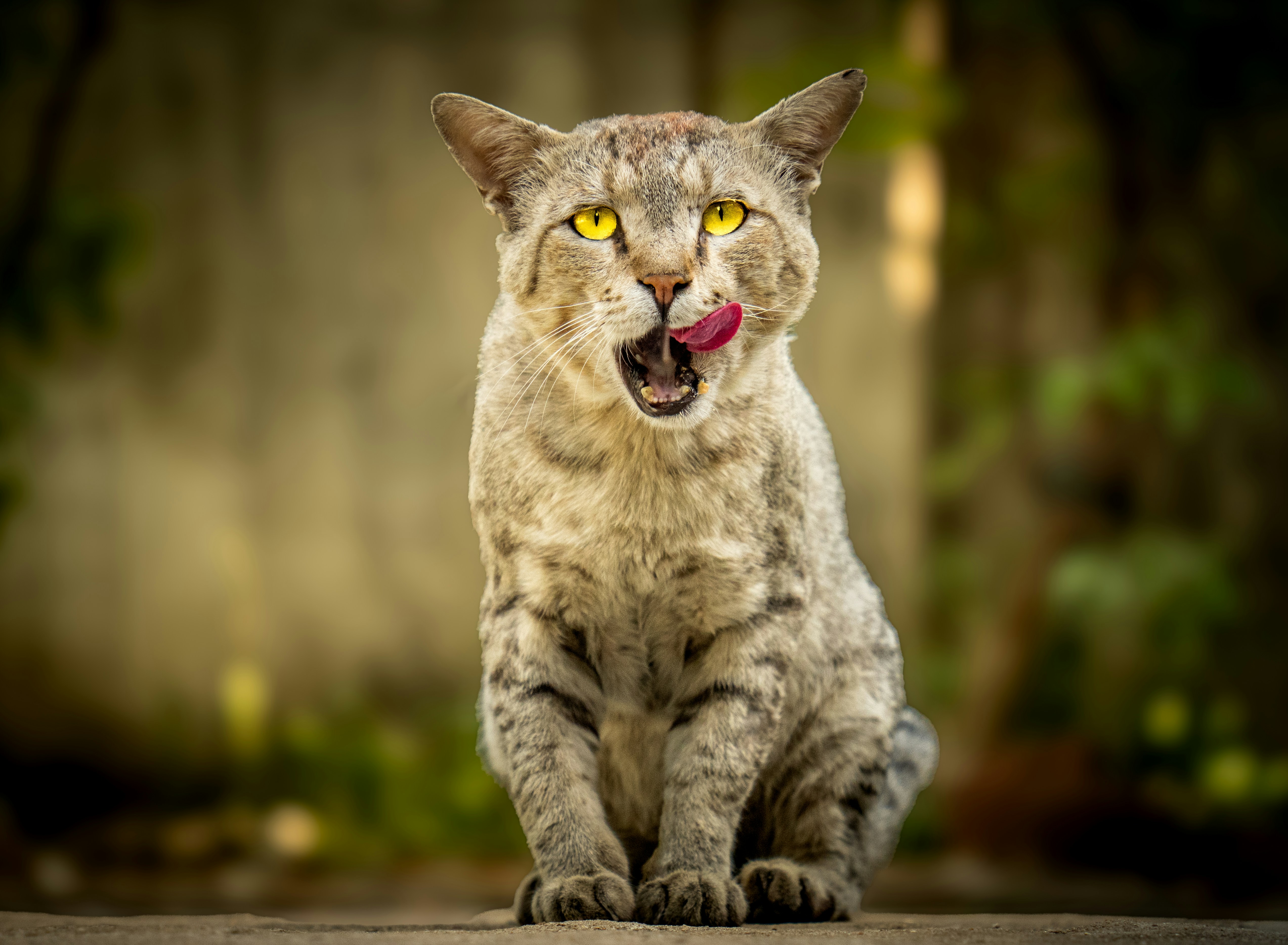 Photo by tomatopictures1