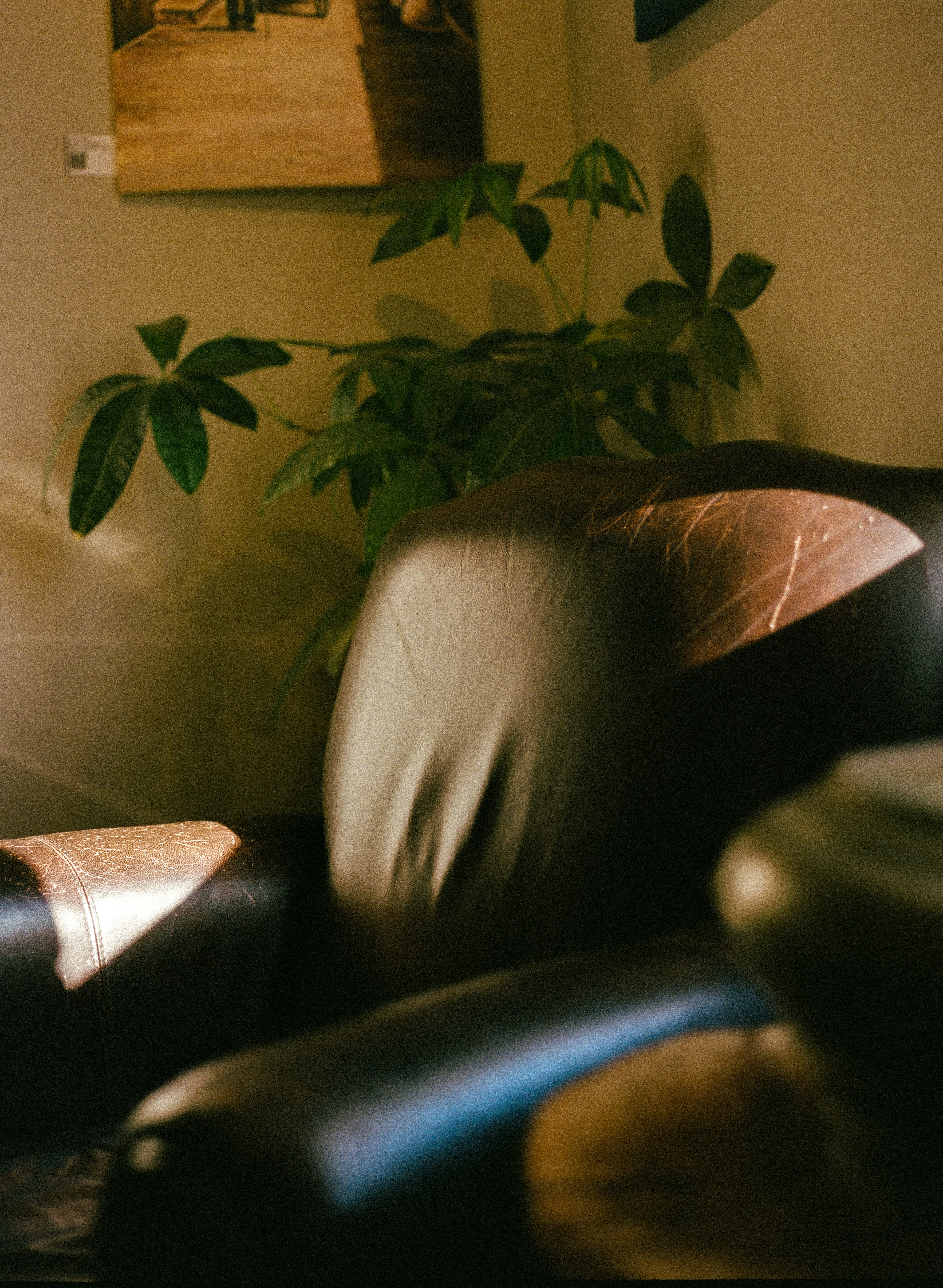 Photo by christianbalentine