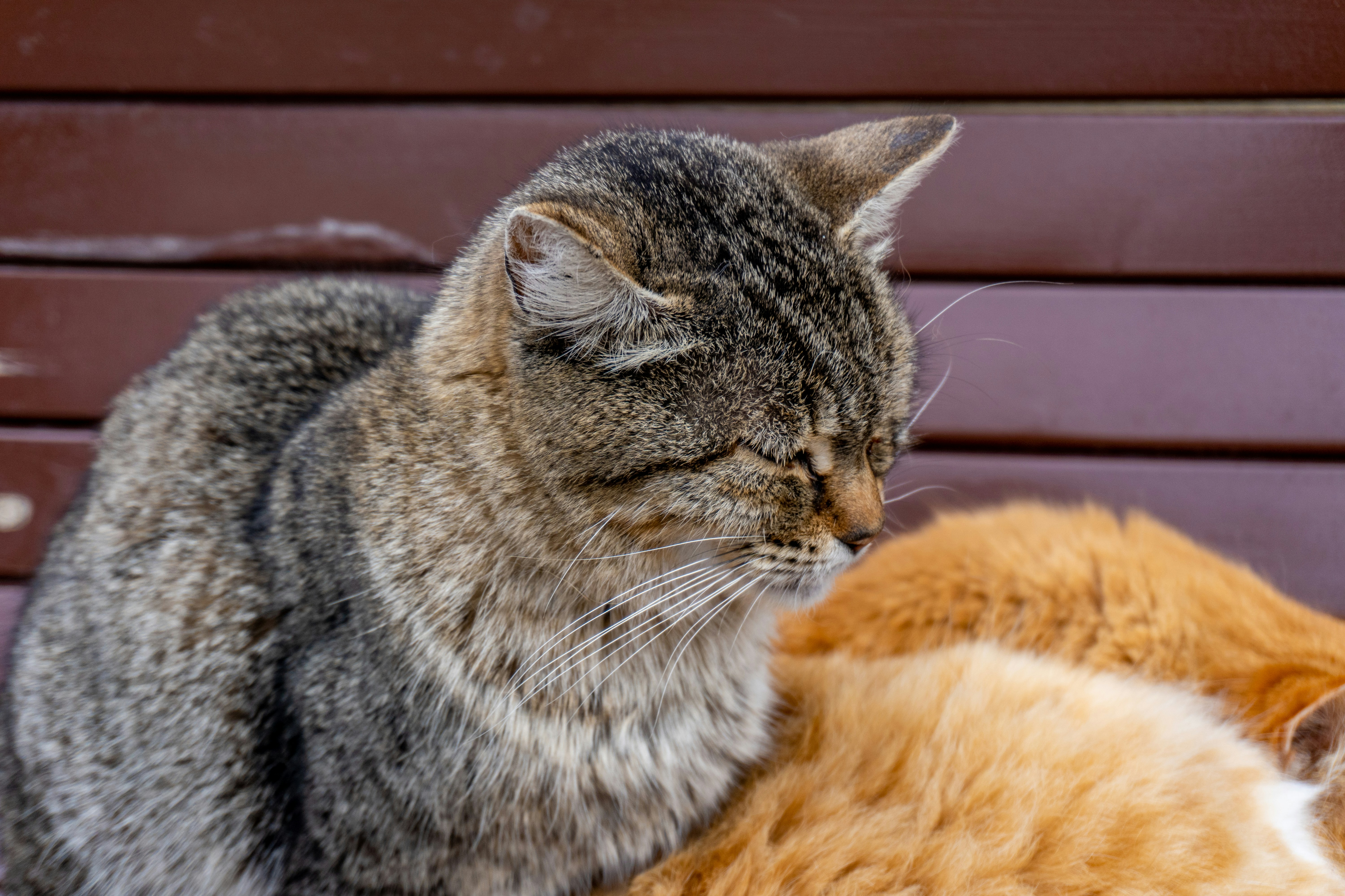 Photo by zulfugarkarimov