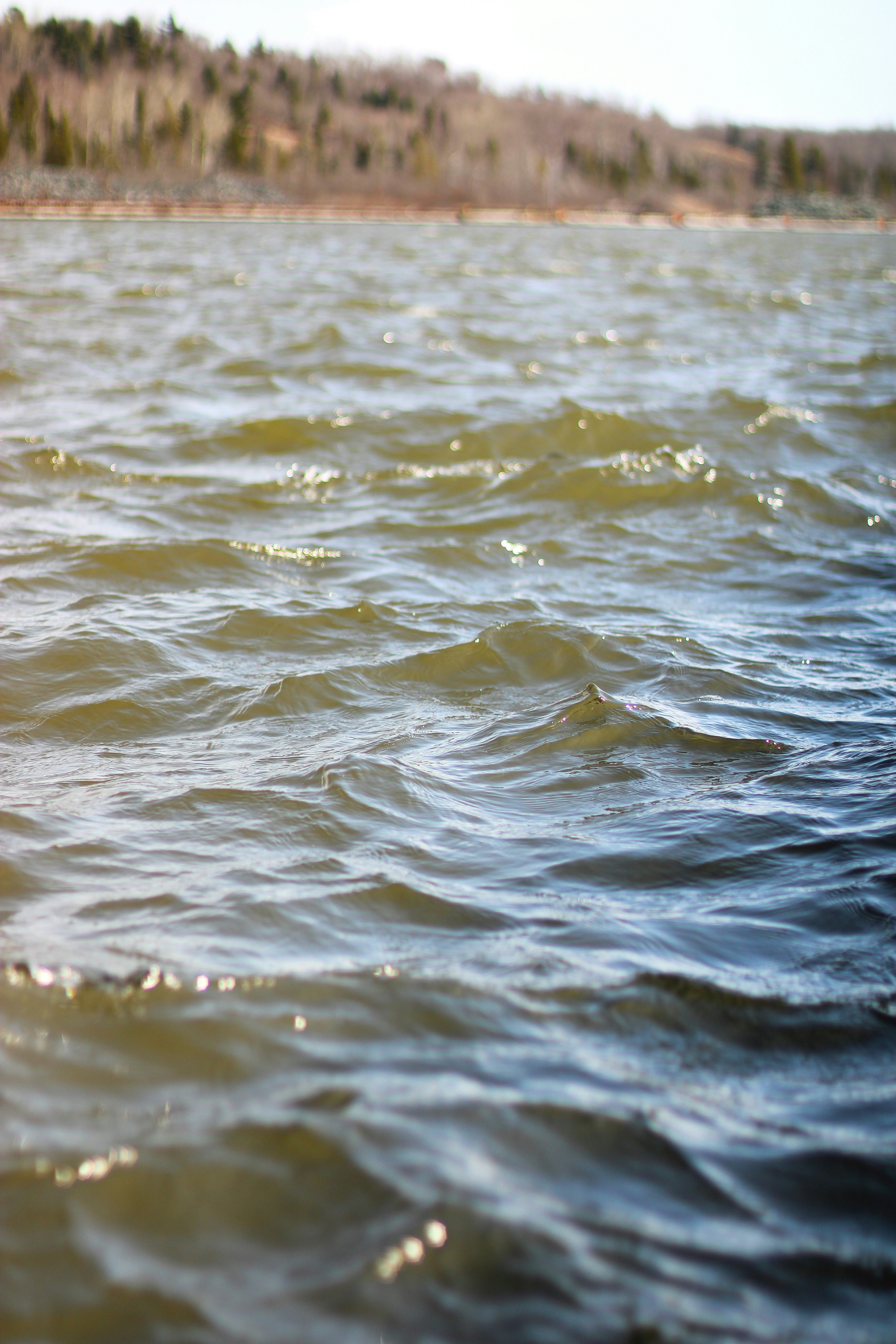 Photo by kruegerelliot