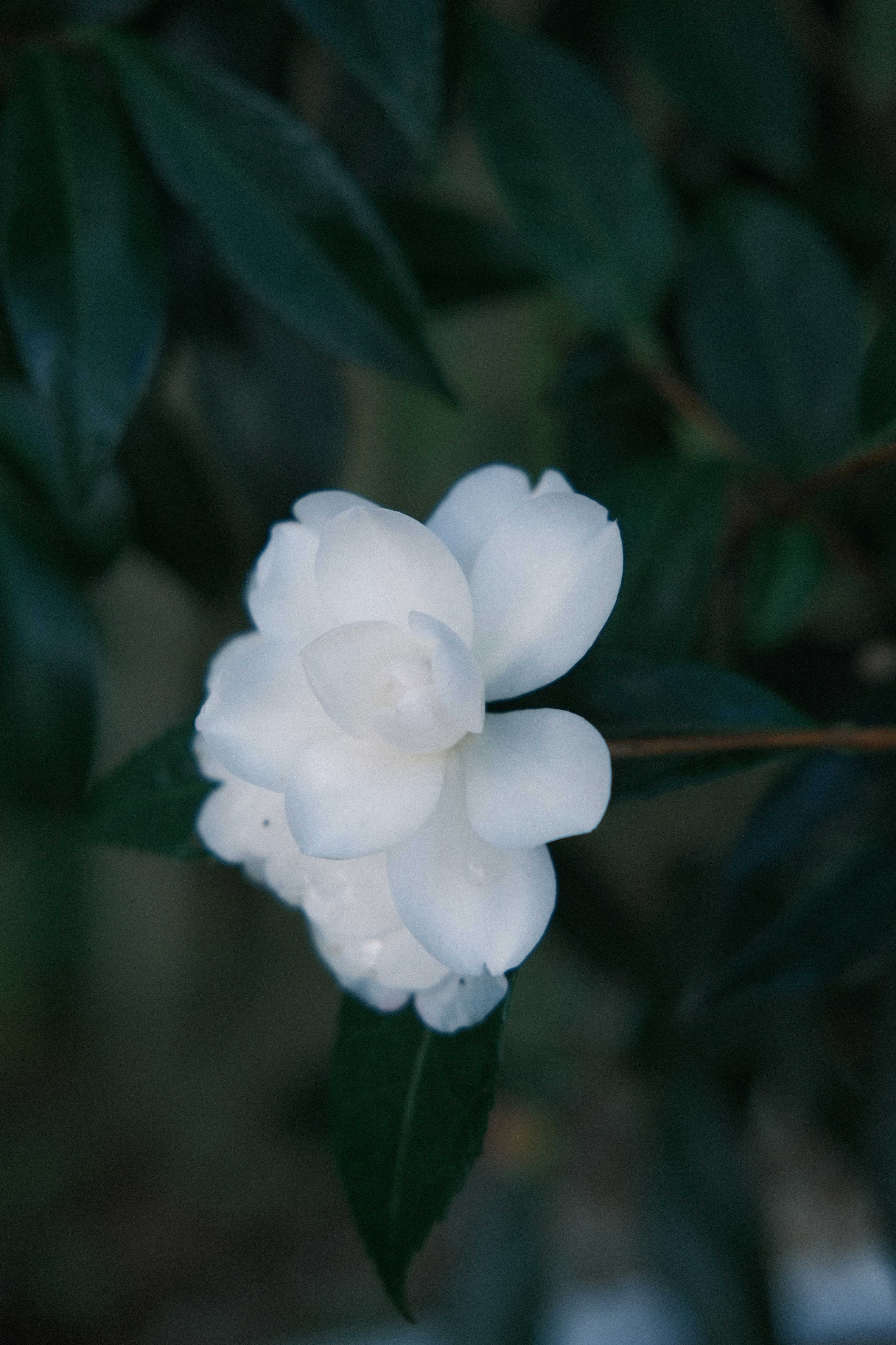 Photo by hailey0422