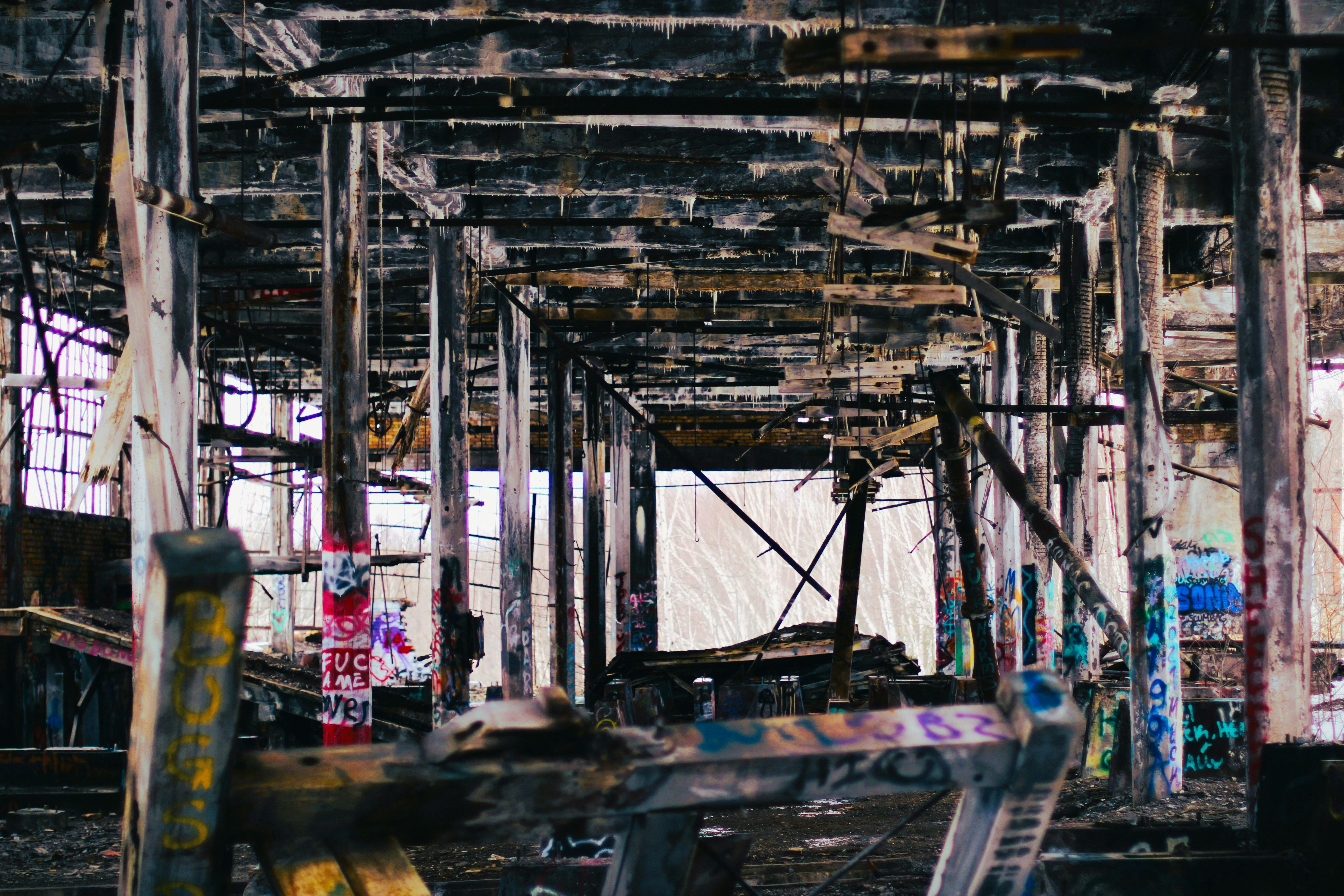 Photo by kruegerelliot