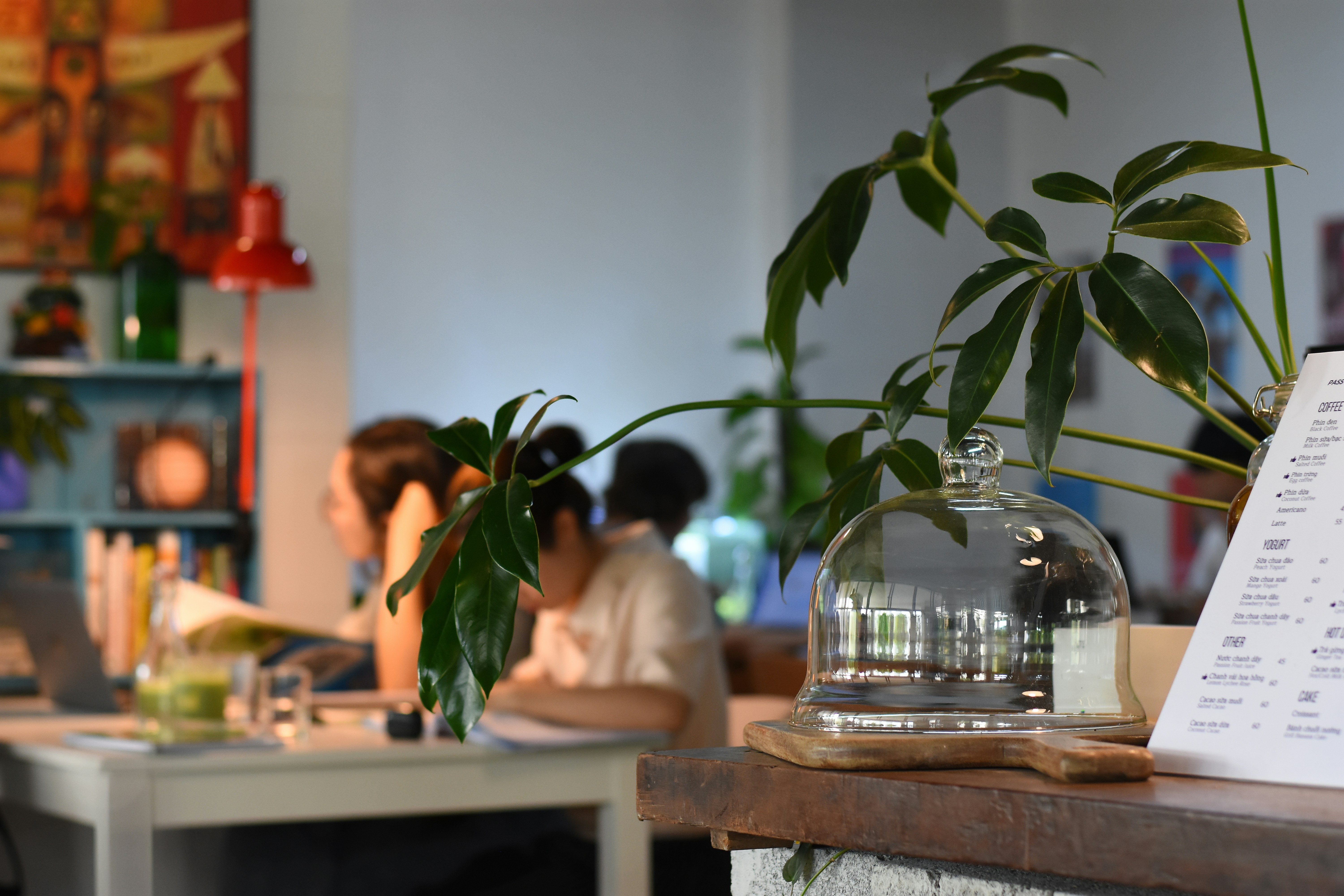 Photo by trunghung0106