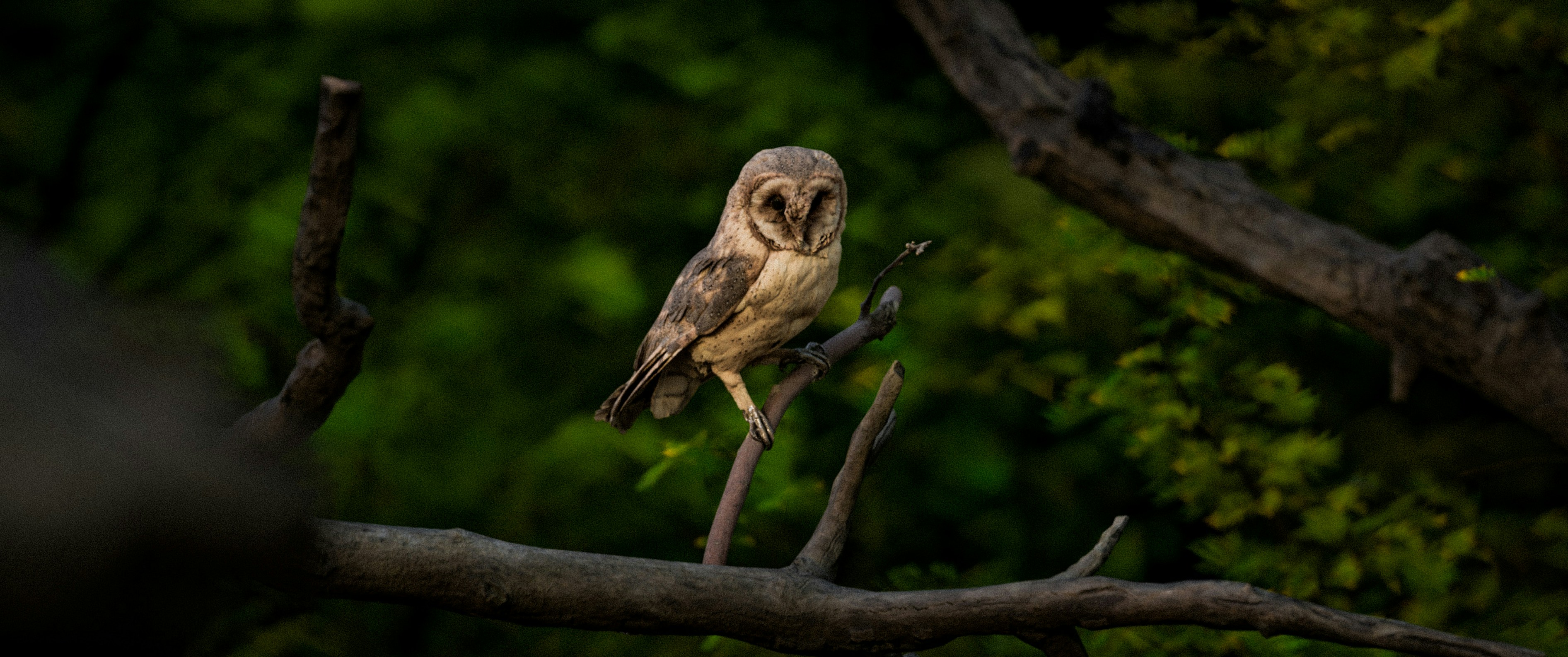 Photo by aashish_chandra