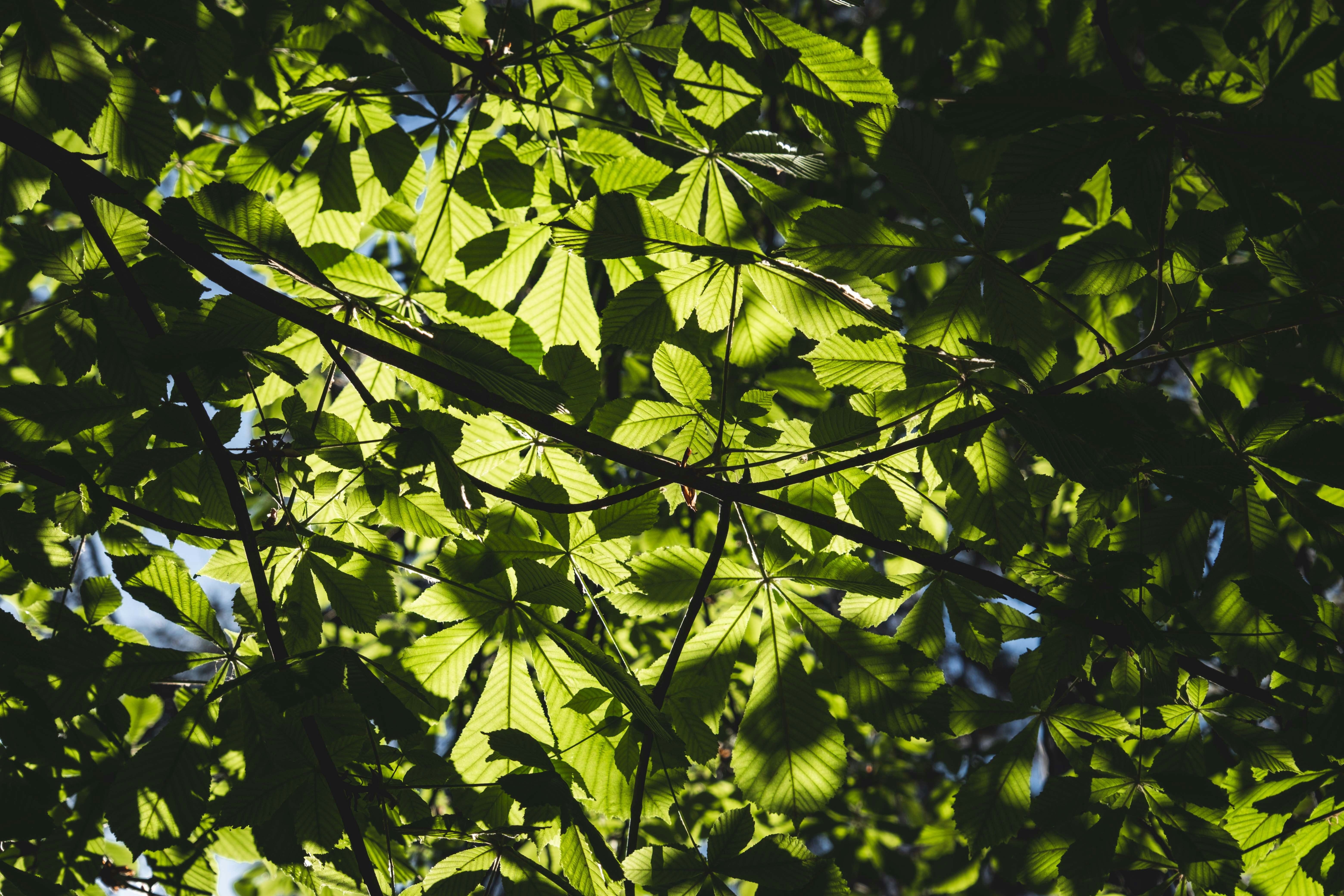 Photo by francesco_ungaro