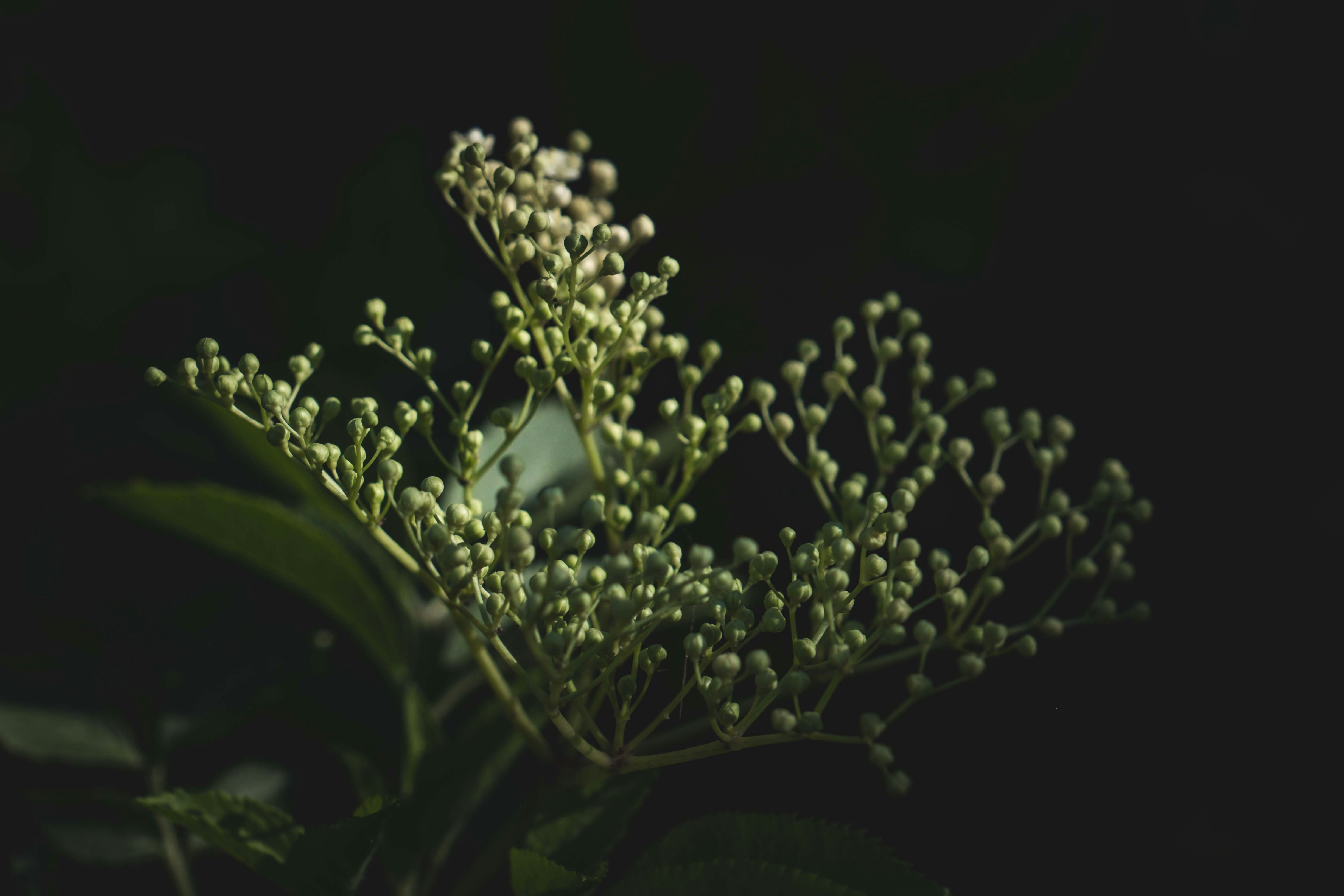 Photo by francesco_ungaro