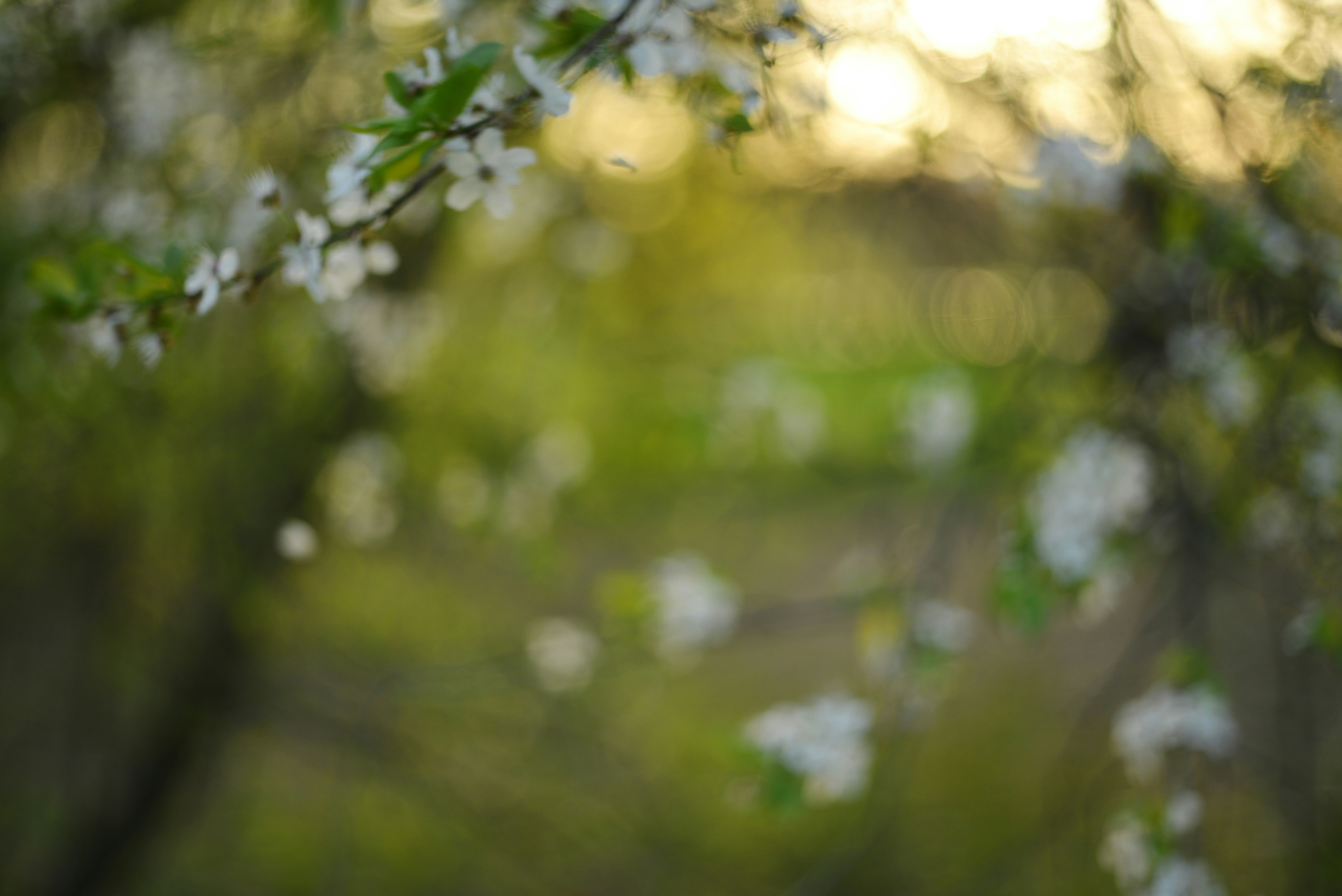 Photo by cherstve_pechivo