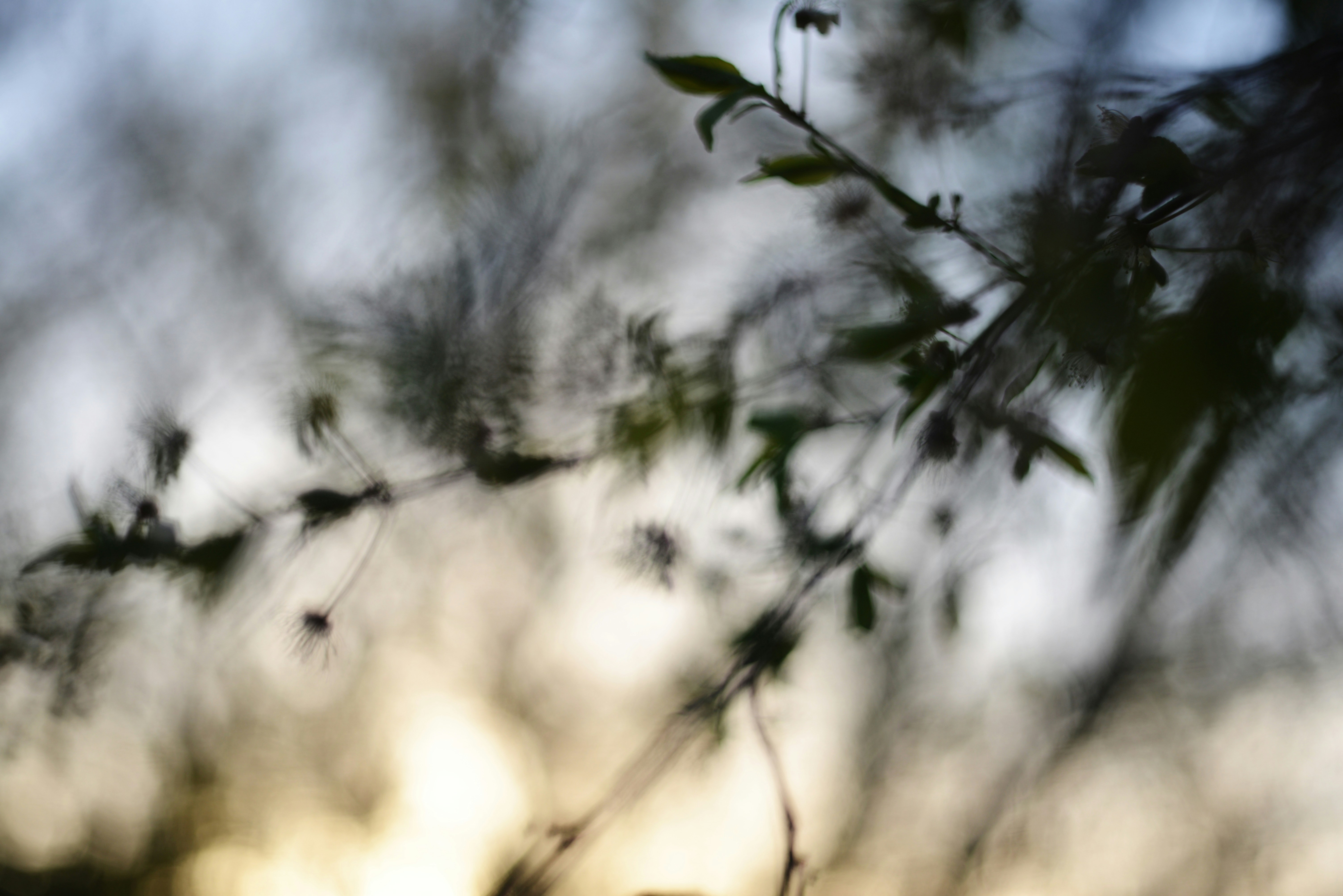 Photo by cherstve_pechivo