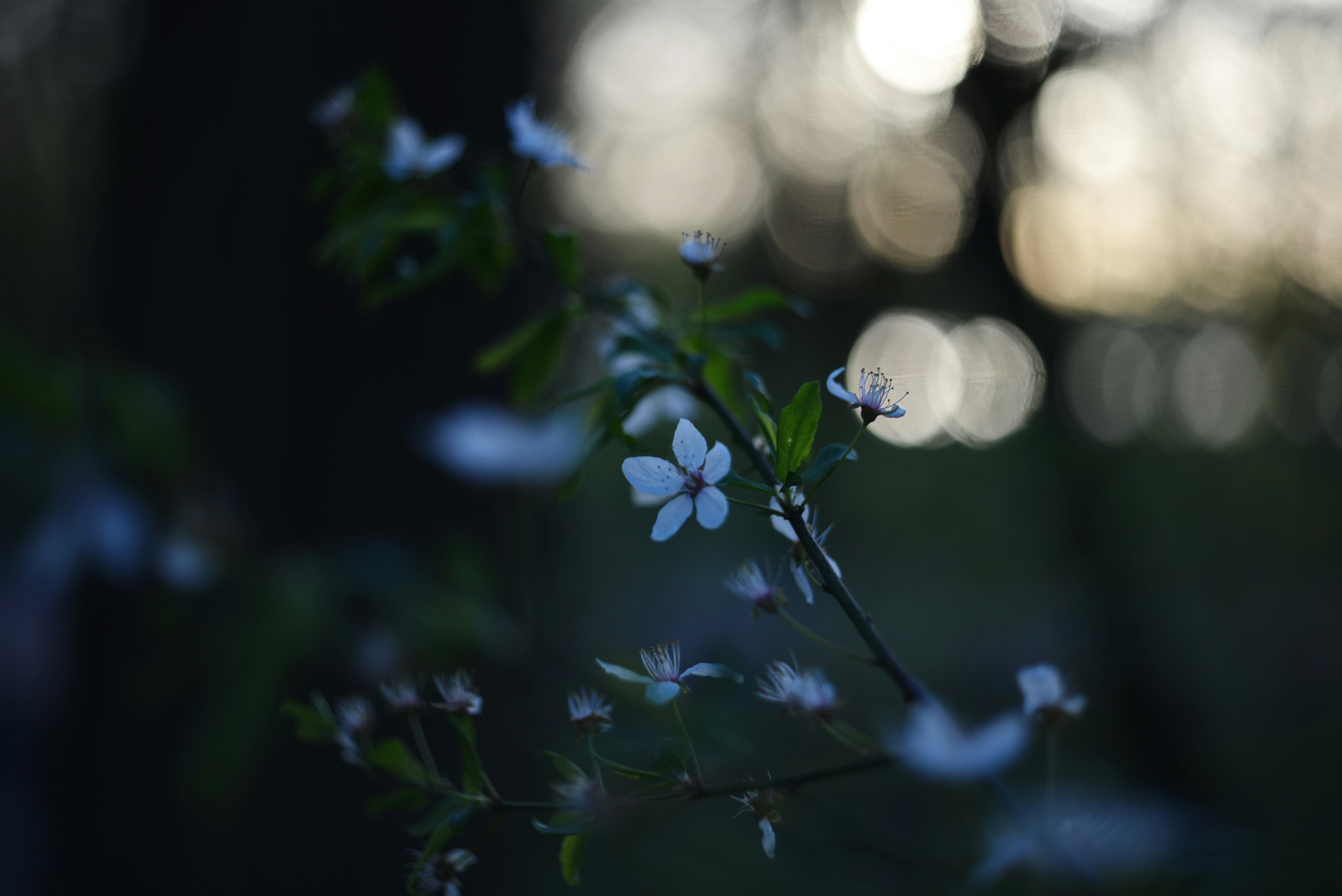 Photo by cherstve_pechivo